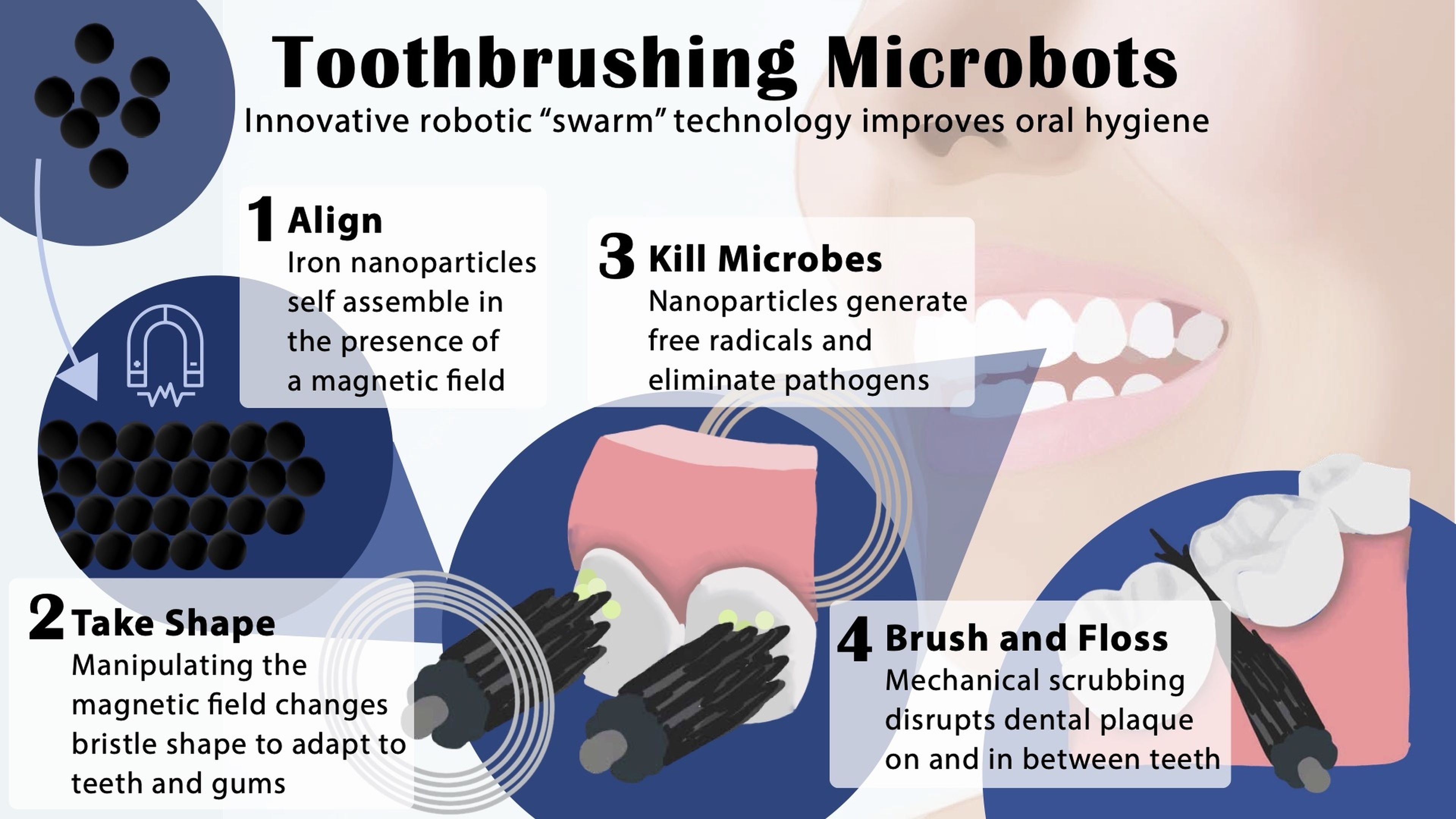 Adiós a los cepillos: unos microbots limpian los dientes ajustándose a su forma, y matan las bacterias