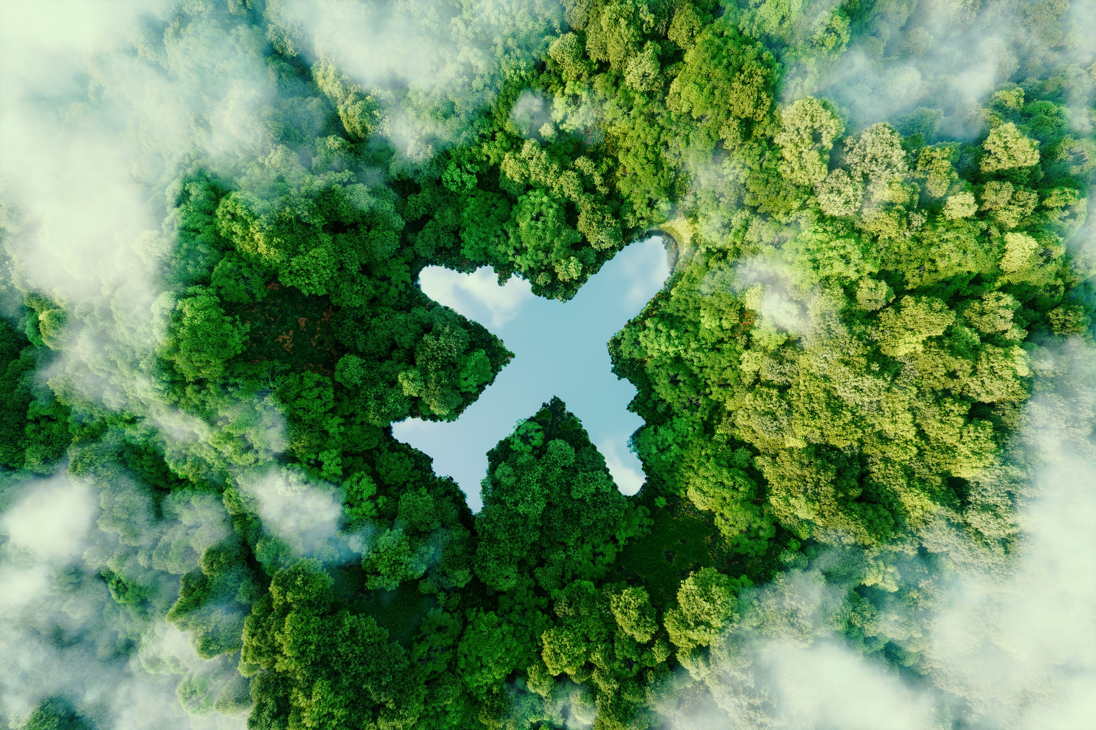 avión, sostenibilidad, medio ambiente