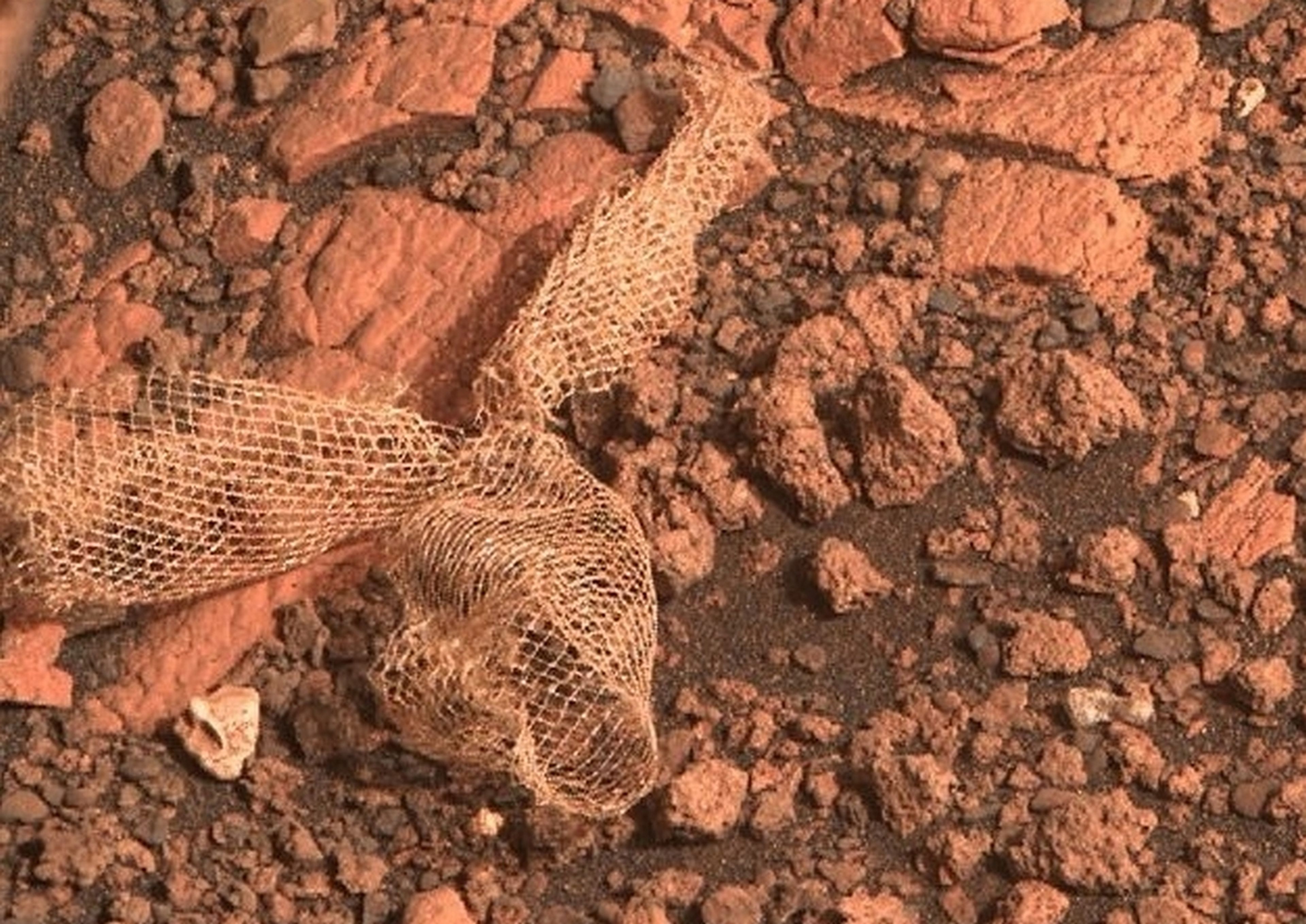 Qué es la "piel de serpiente" que el rover Perseverance ha encontrado en Marte