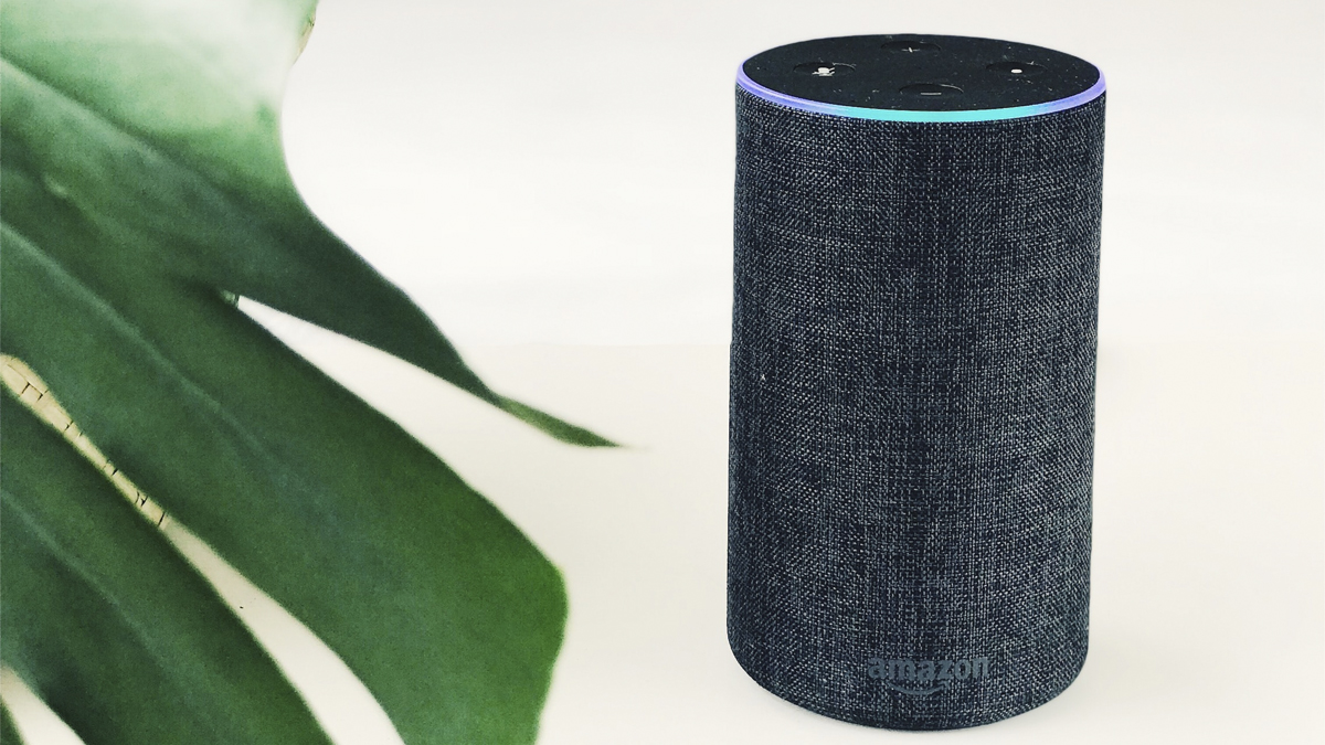 Alexa solo best sale funciona conectada