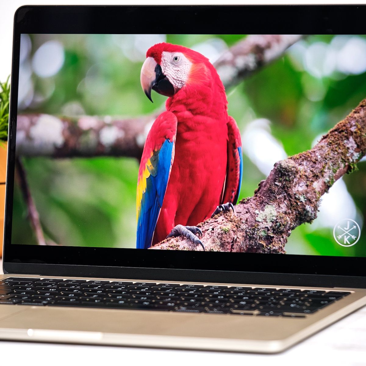 El monitor más vendido de  es portátil, con USB-C para conectarlo al  MacBook y está rebajado 70 euros con cupón descuento