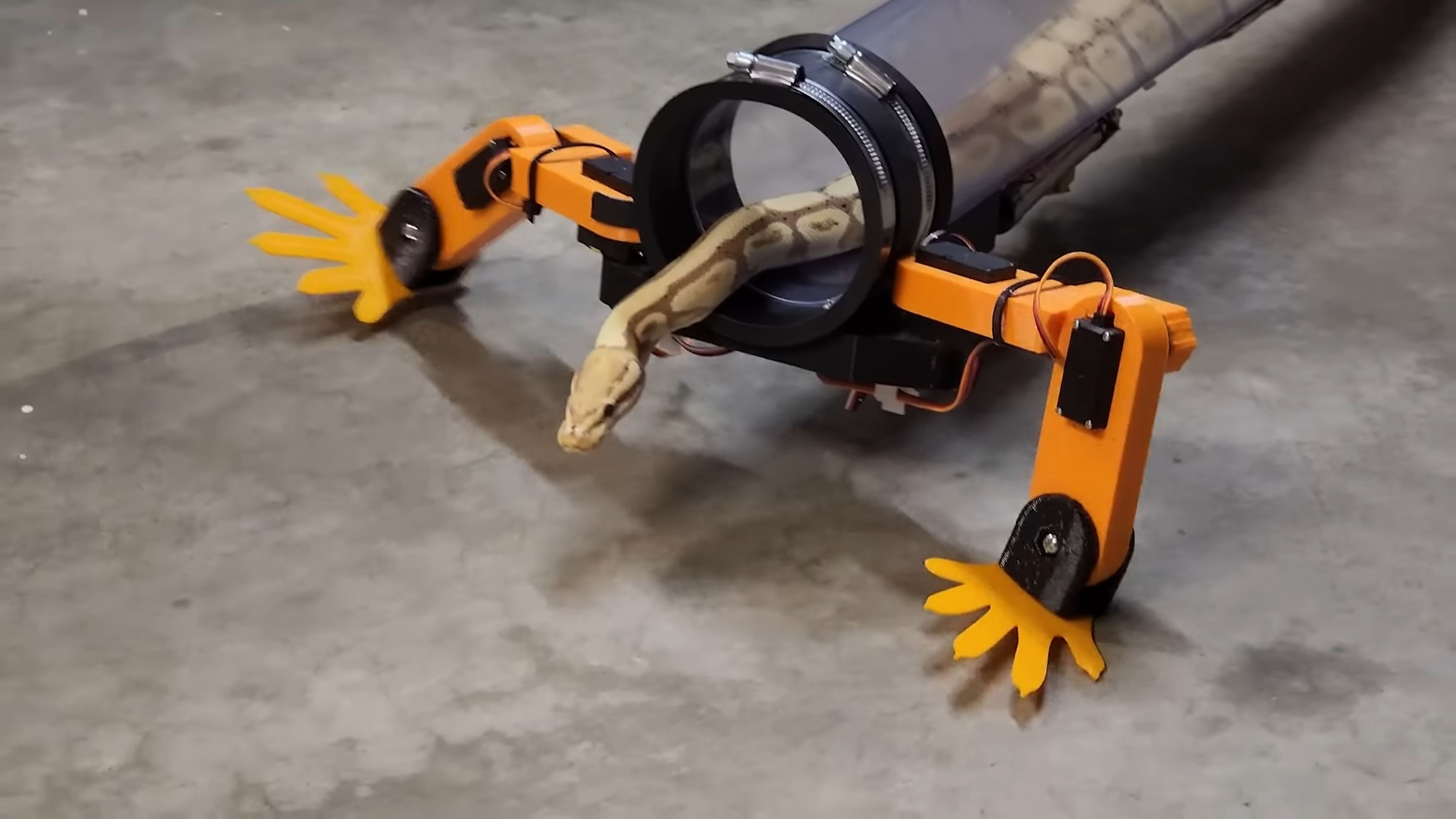 Construyen un exoesqueleto para que las serpientes puedan andar, y es aterrador