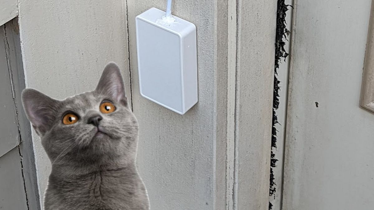 Inventan un timbre para gatos con una Raspberry Pi que solo abre la puerta  a los maullidos