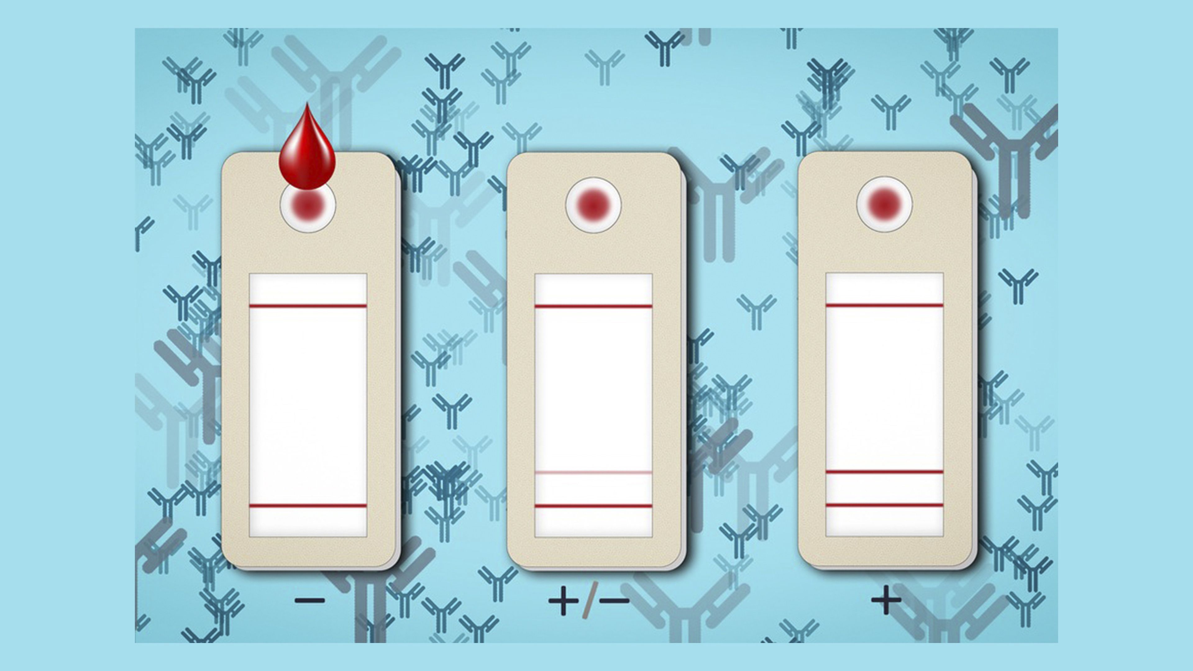 El MIT ha creado un test que comprueba si eres inmune con una gota de tu sangre