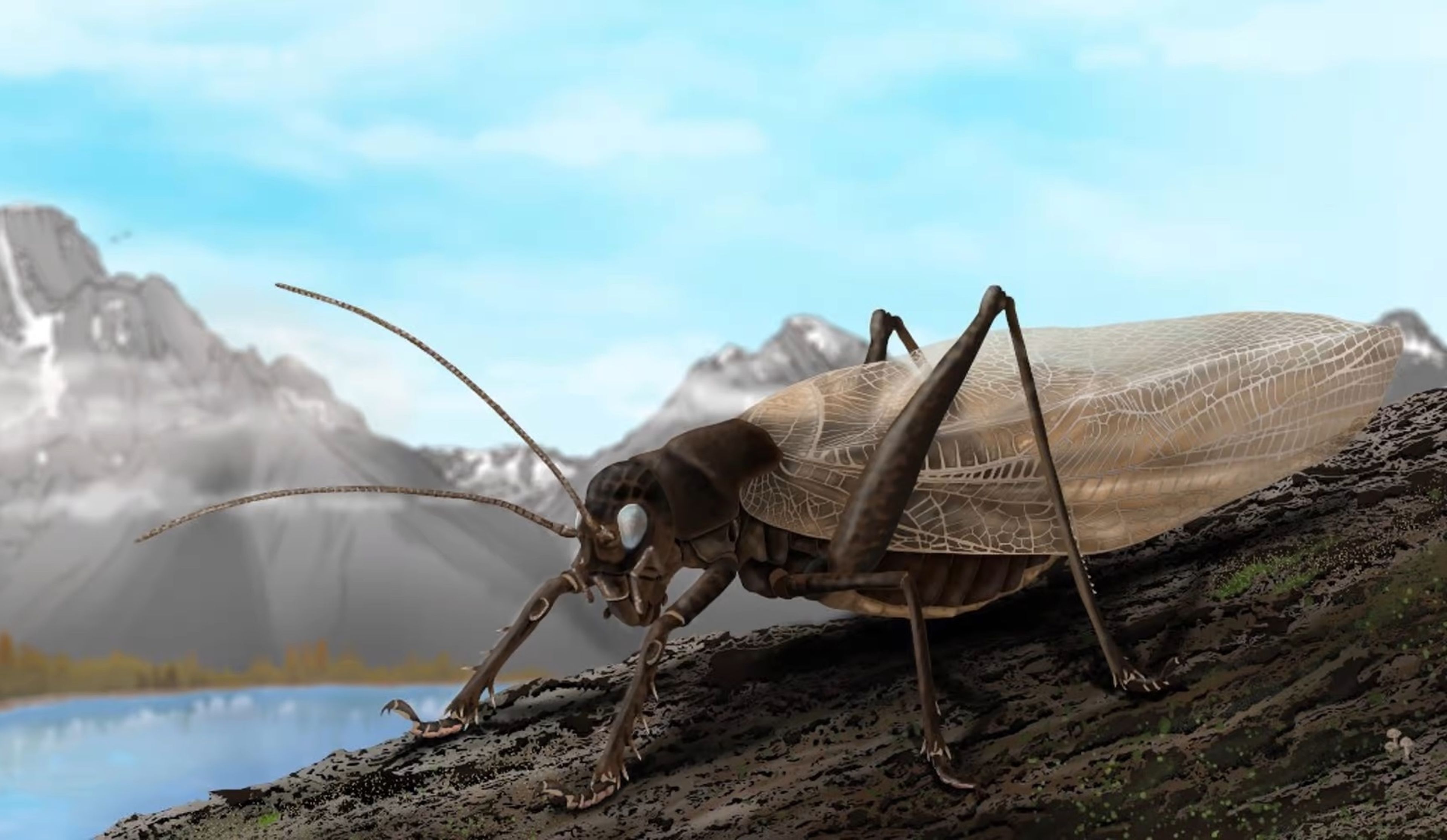 Recrean el canto de un insecto de hace 150 años, con el objetivo de encontrar alguno vivo