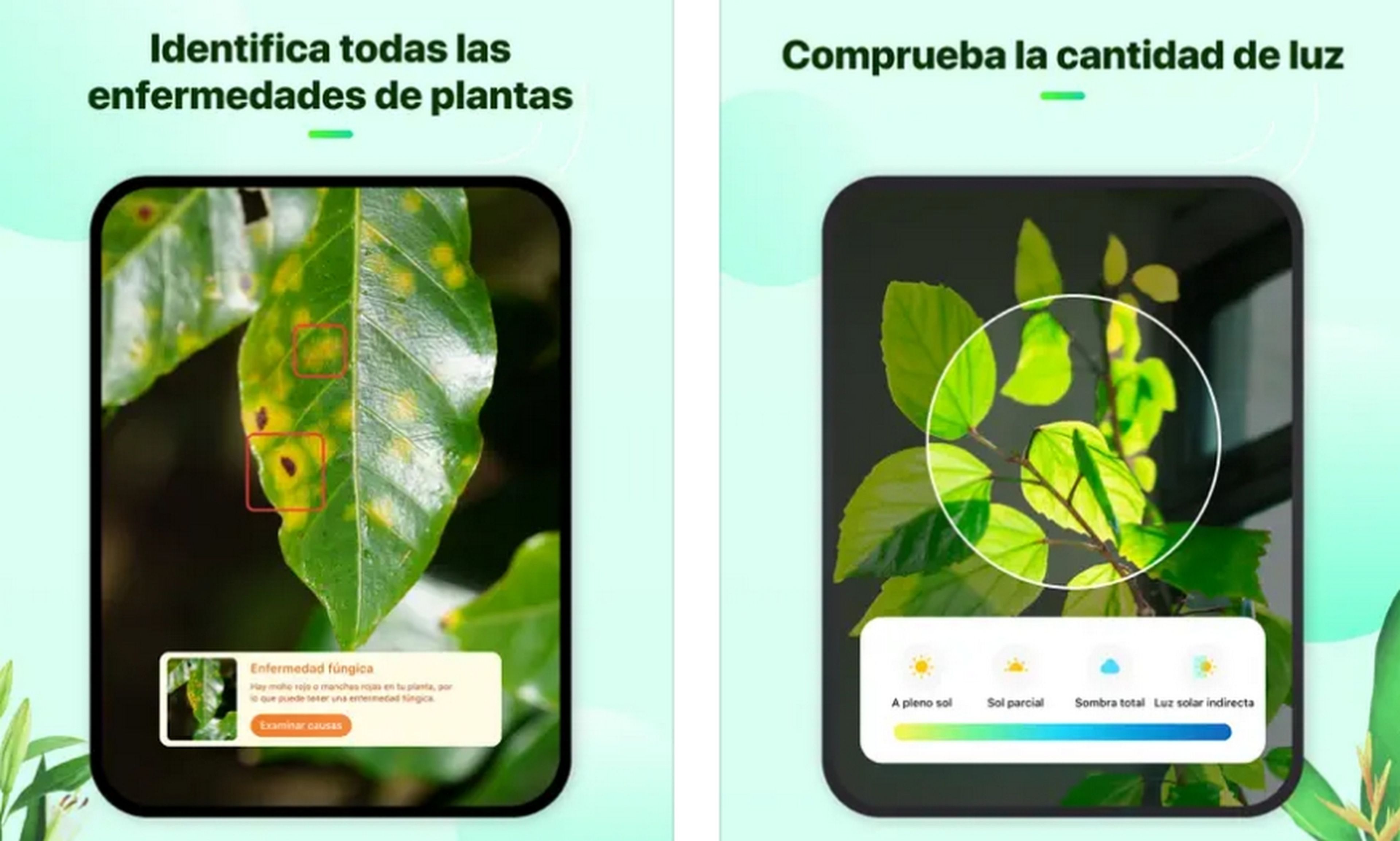 Si siempre se te mueren las plantas usa la app Plant Parent: las identifica con IA y te guía en sus cuidados