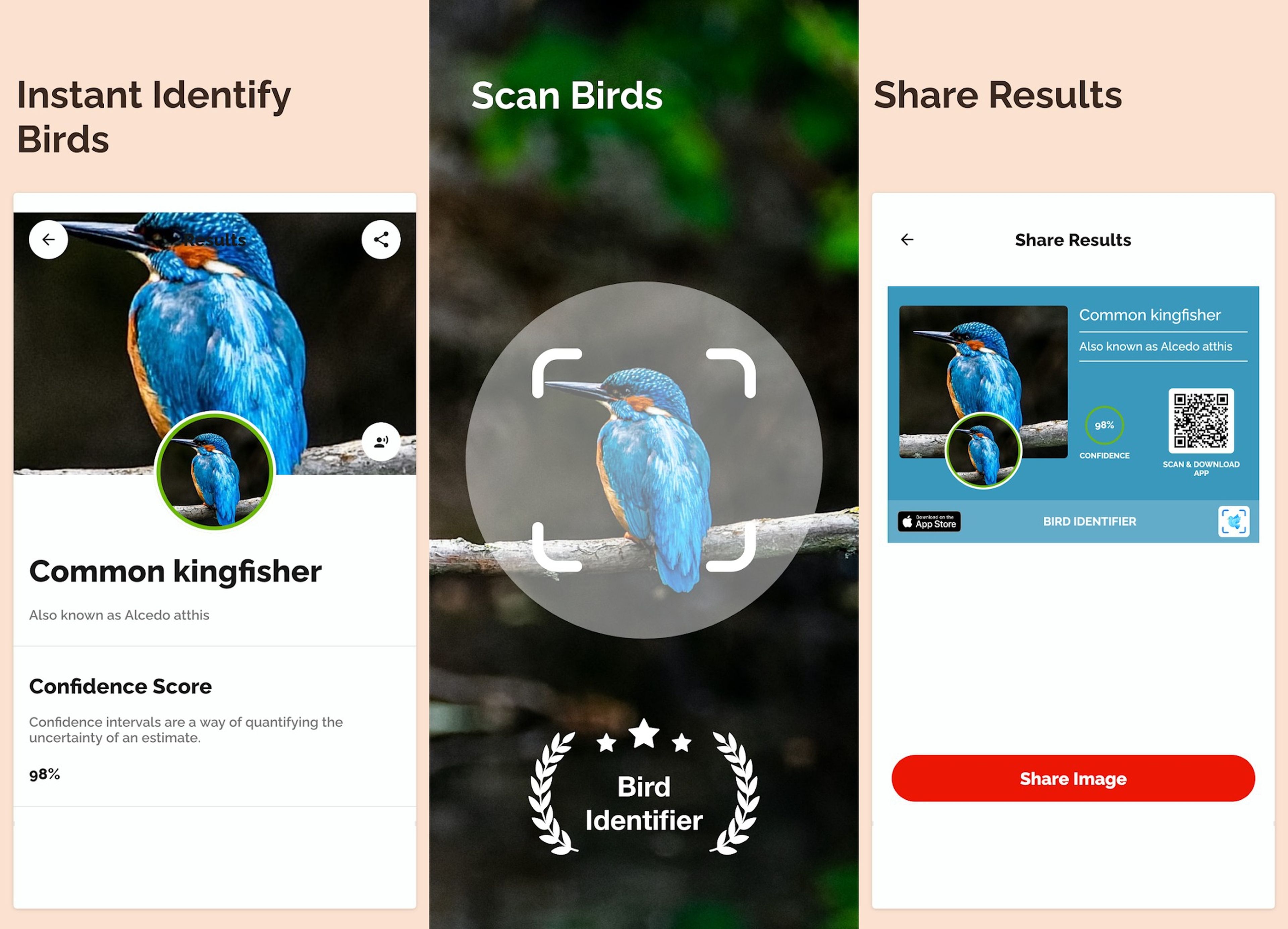 Las 7 mejores aplicaciones para móviles Android con las que identificar aves