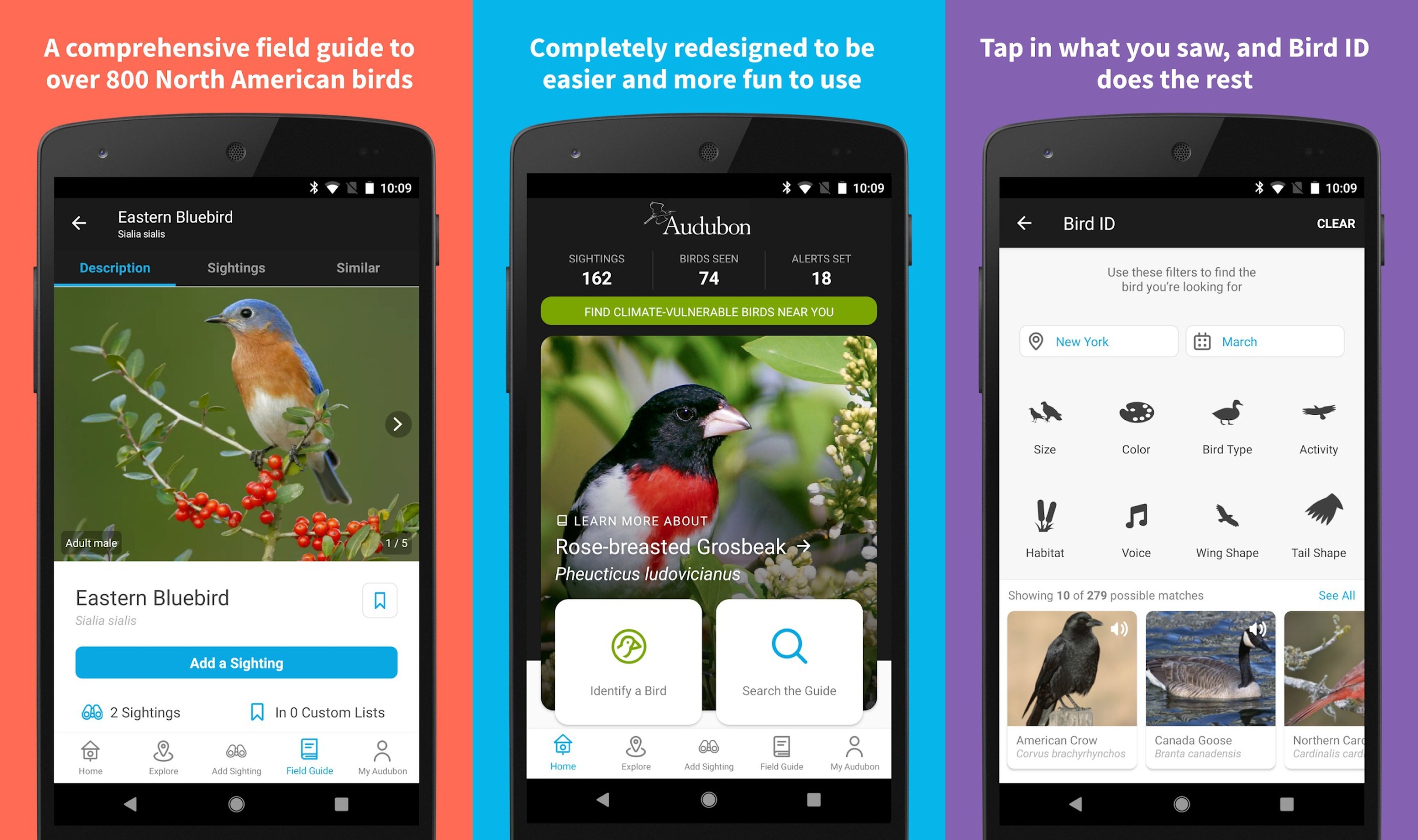 Las 7 mejores aplicaciones para móviles Android con las que identificar aves