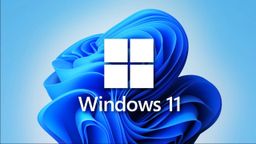 Casi la mitad de PCs del mercado no se pueden actualizar a Windows 11 y eso es un gran problema