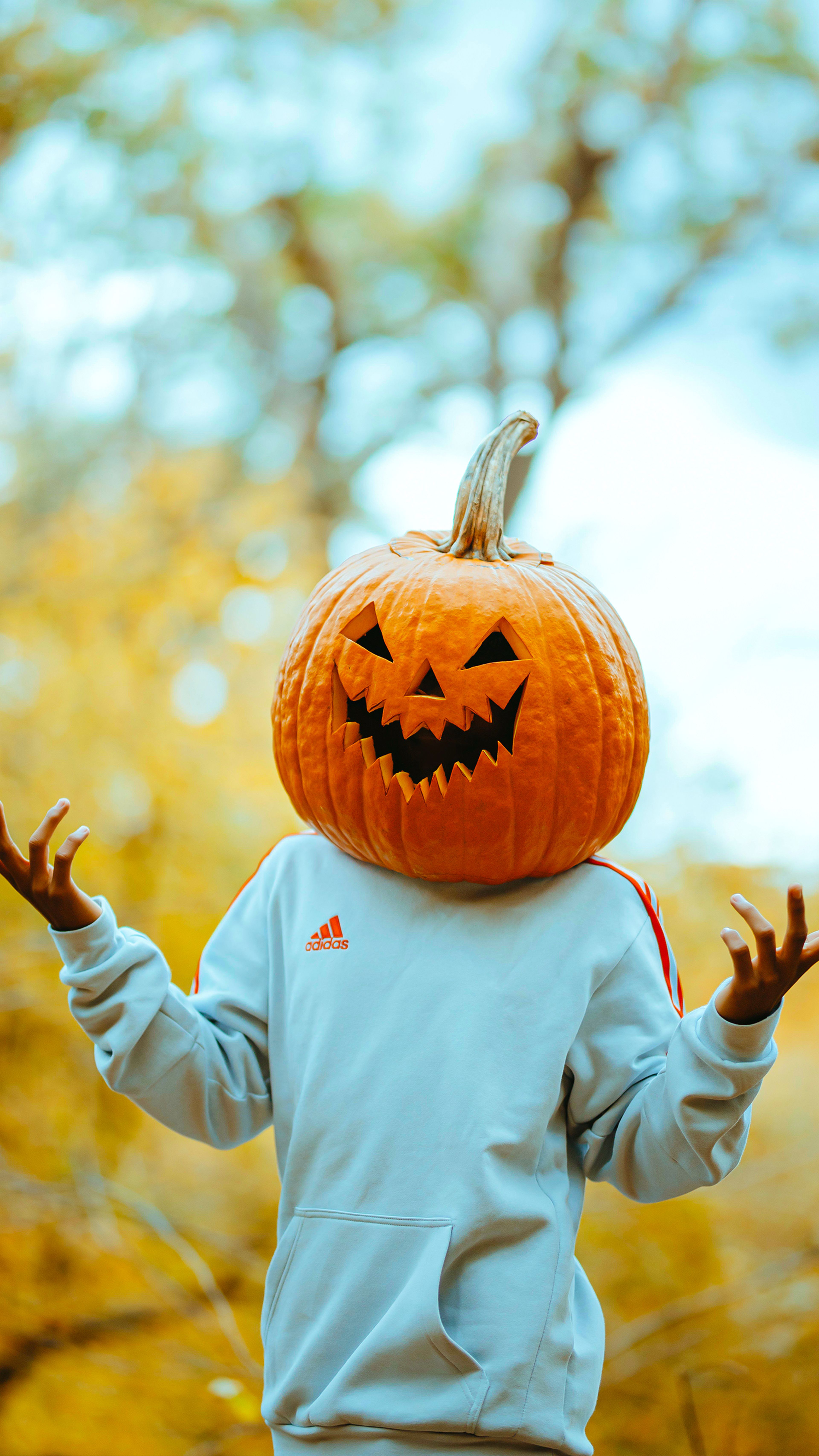 Prepara tu móvil para Halloween, los 12 mejores fondos de pantalla |  Computer Hoy