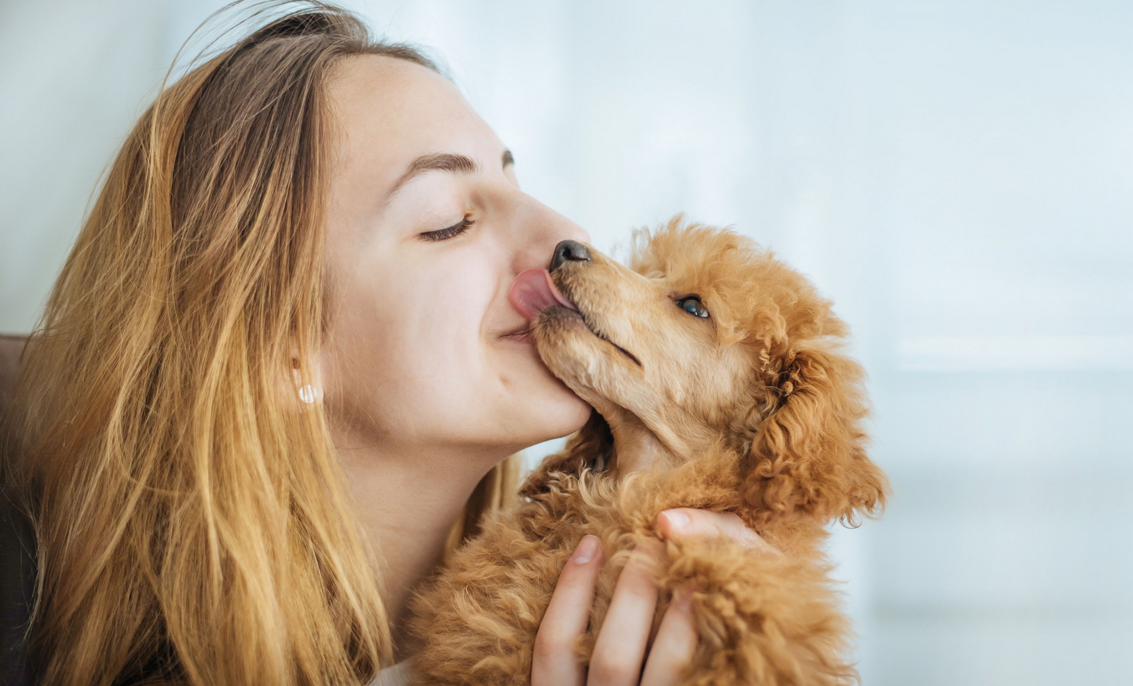 Por qué es una mala idea besar a tu perro en la boca