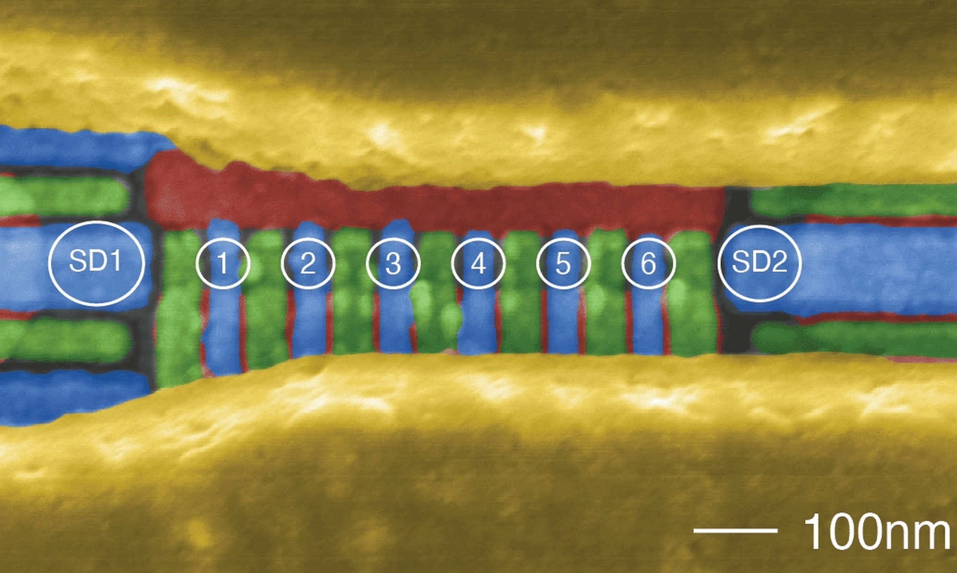 Nuevo récord en la computación cuántica: el primer procesador de 6 qubits fabricado en silicio