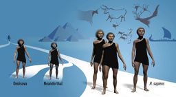 La reconstrucción de ADN de humanos extintos, Premio Nobel de Medicina 2022
