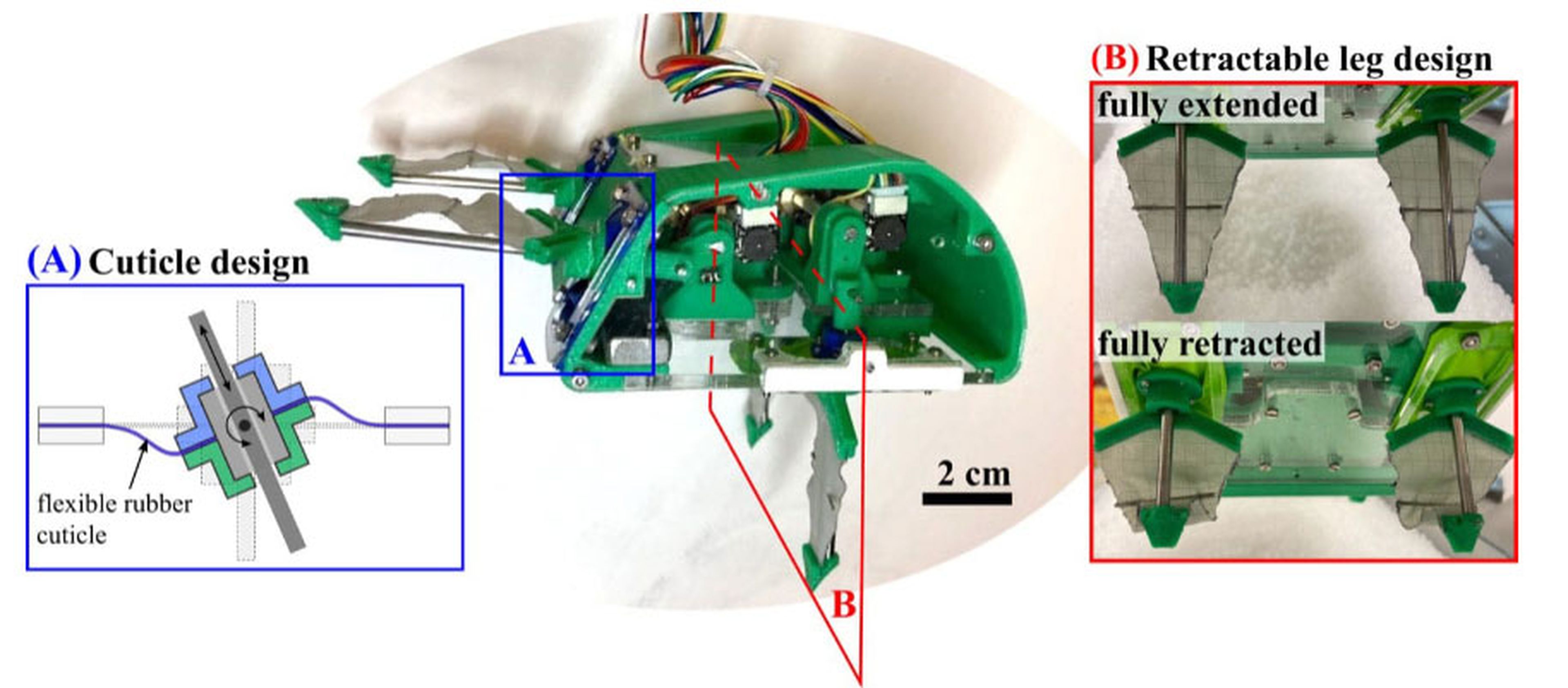 Este robot inspirado en un cangrejo topo puede excavar en casi cualquier superficie