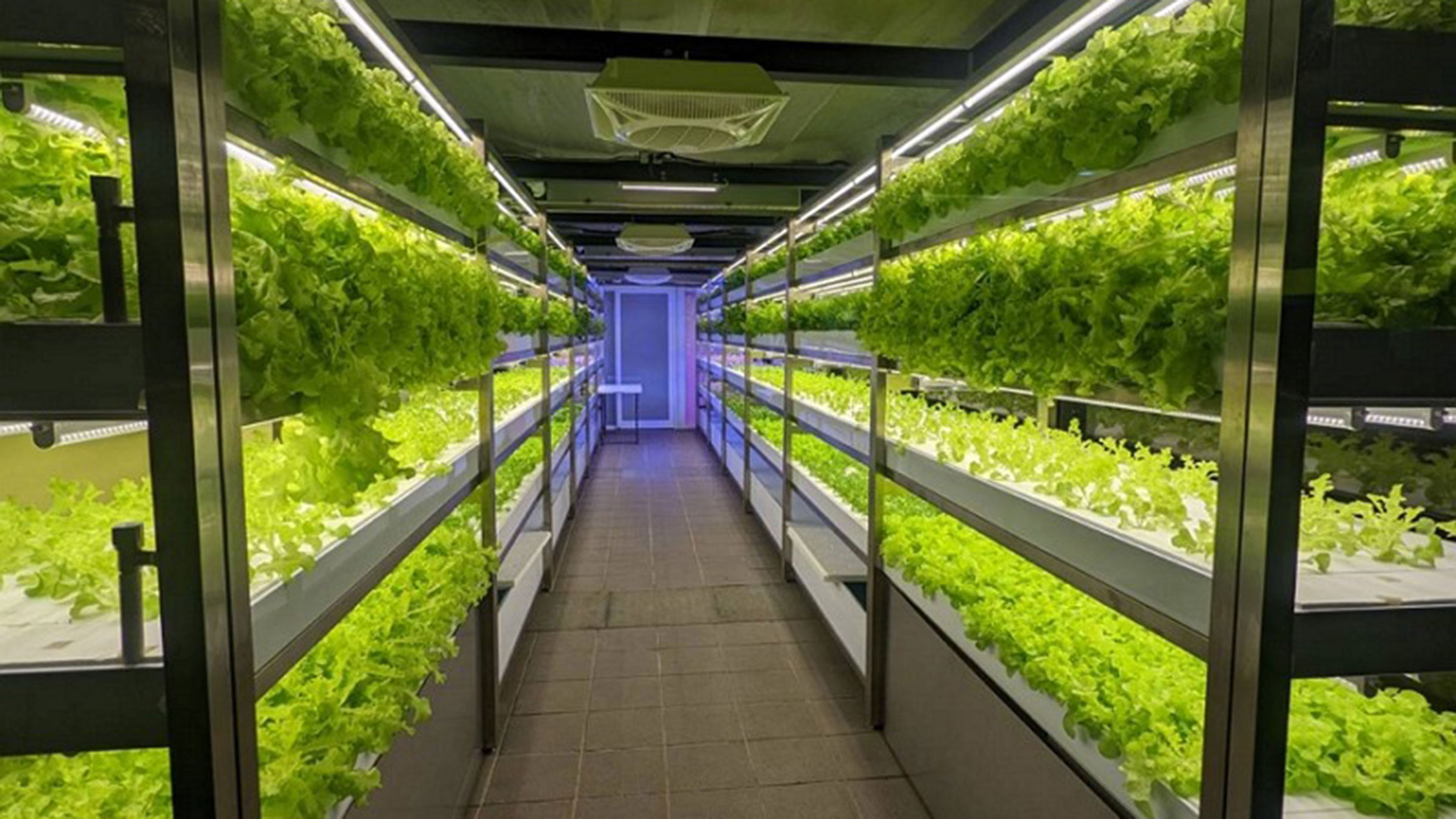 Transforman una estación de metro en una granja vertical orgánica