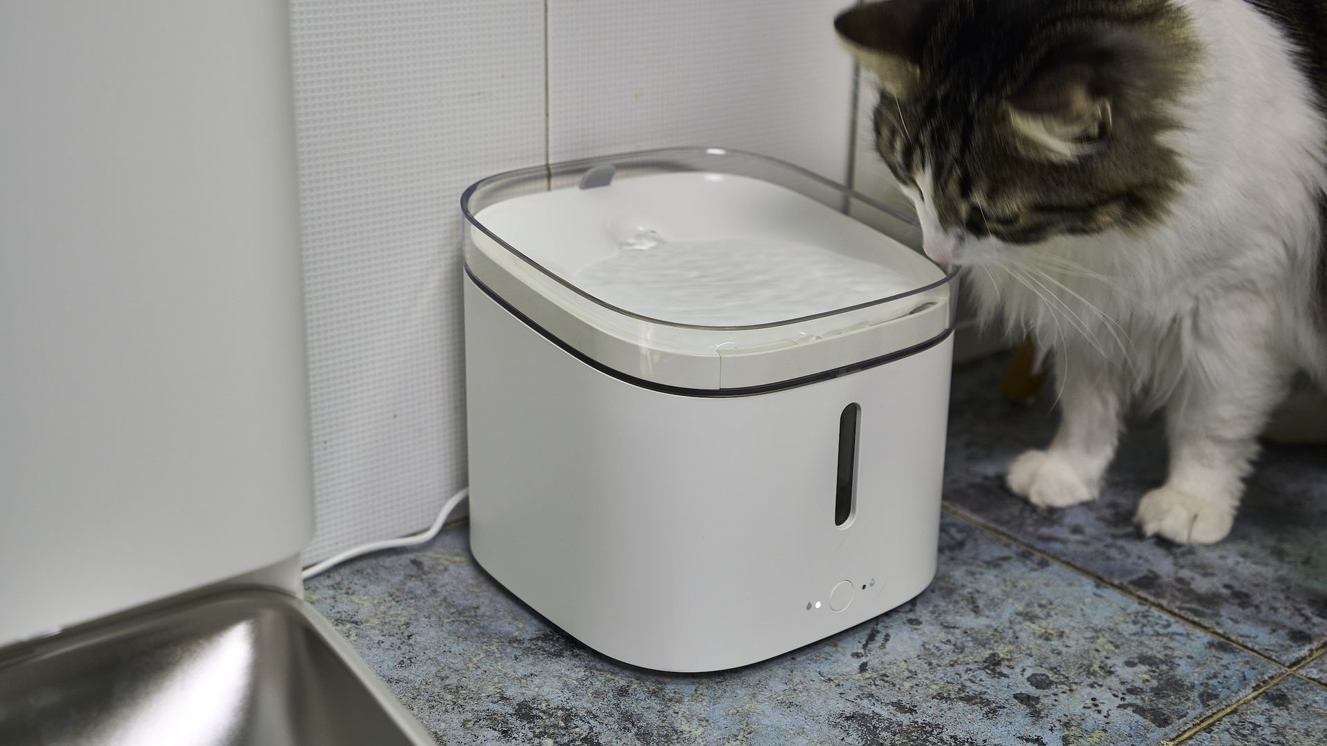 Xiaomi Smart Pet Food Feeder y Smart Pet Fountain, análisis. Review