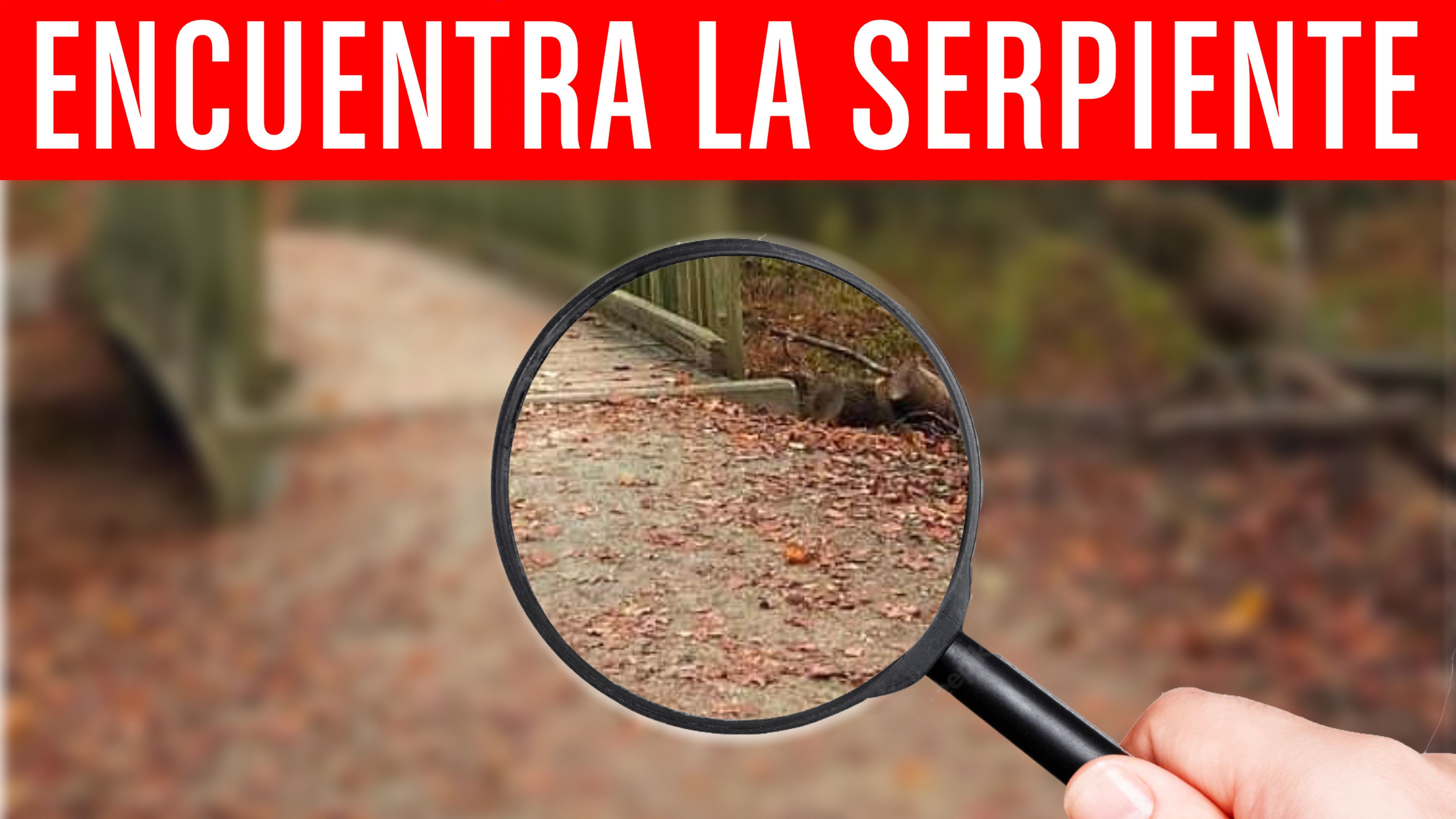 Desafío rápido: tendrás que tener vista de águila para encontrar la serpiente oculta en esta imagen