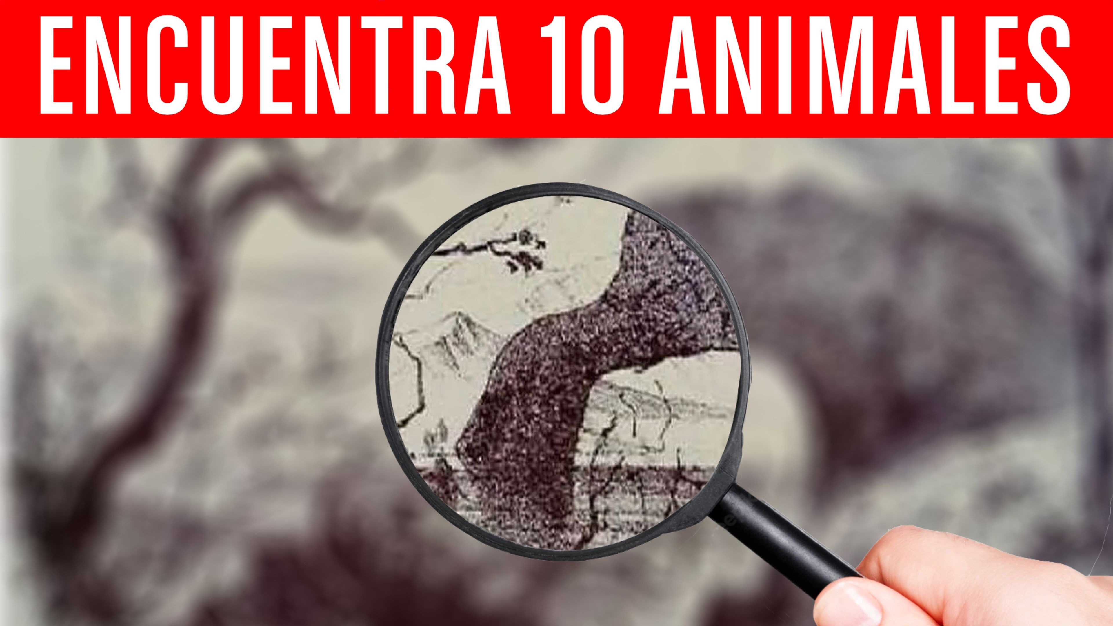 Encuentra animales