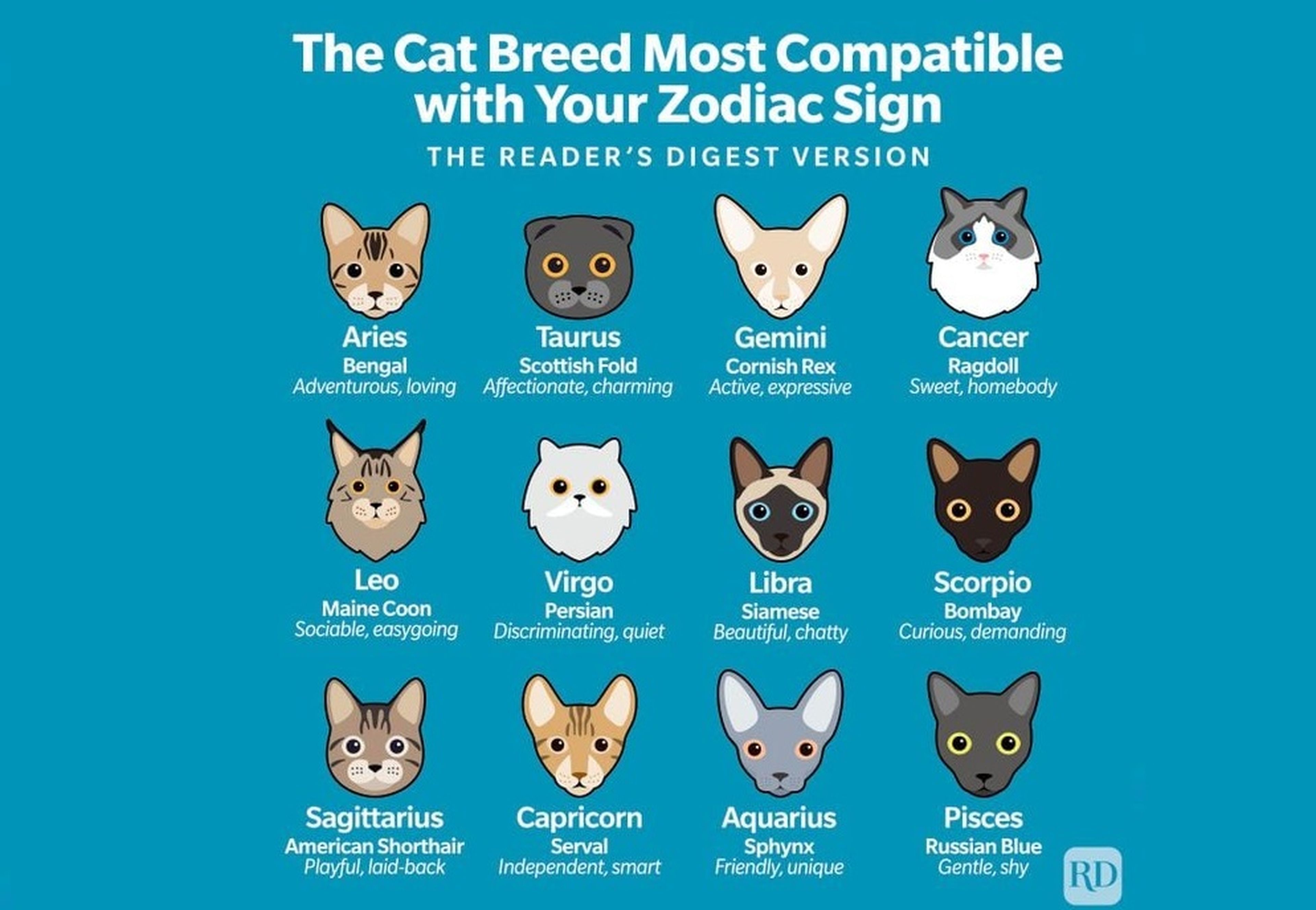 Gatos dependiendo del signo del zodiaco