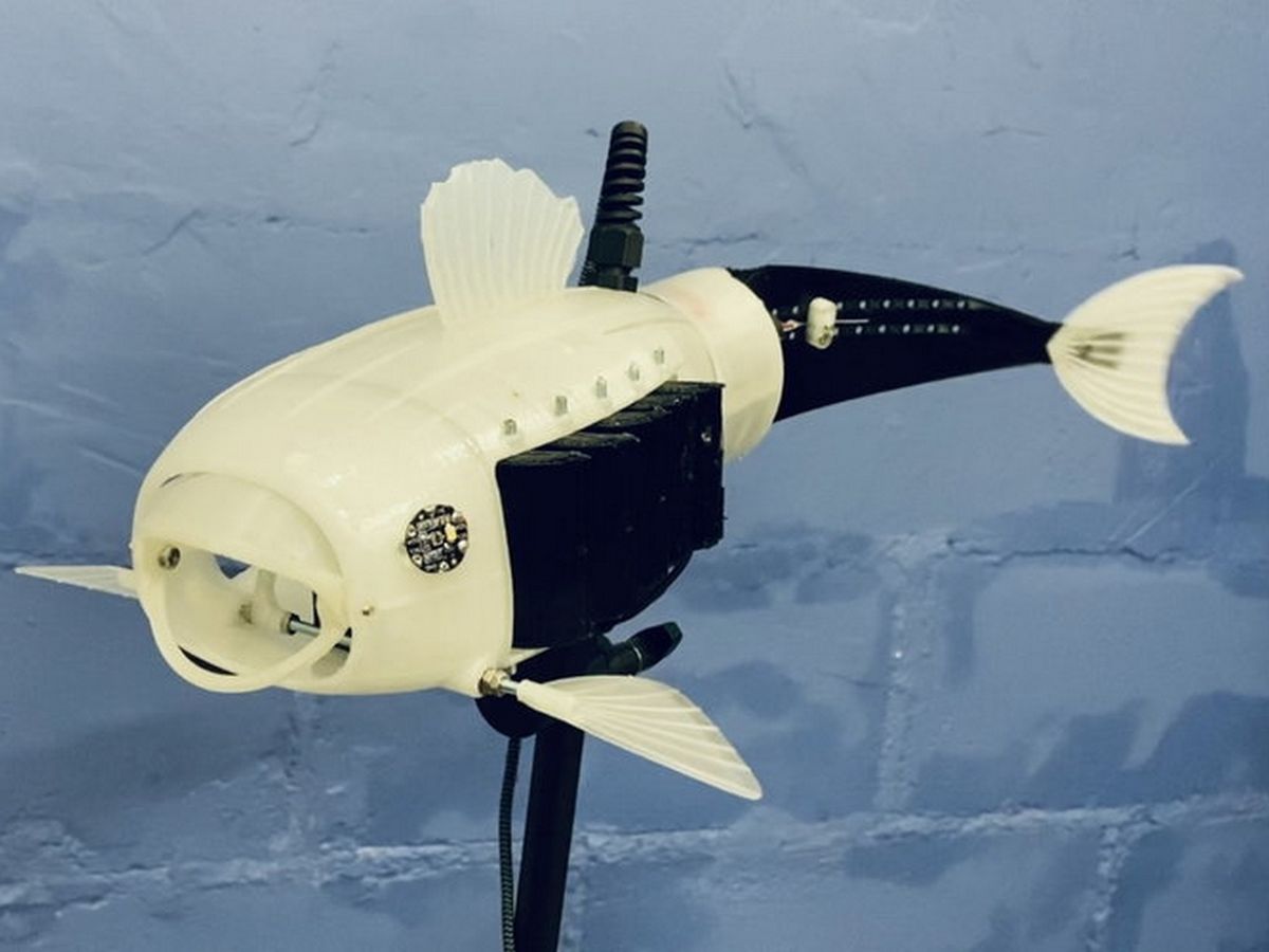 SoFi: el pez robotótico de silicona que nada como un pez real