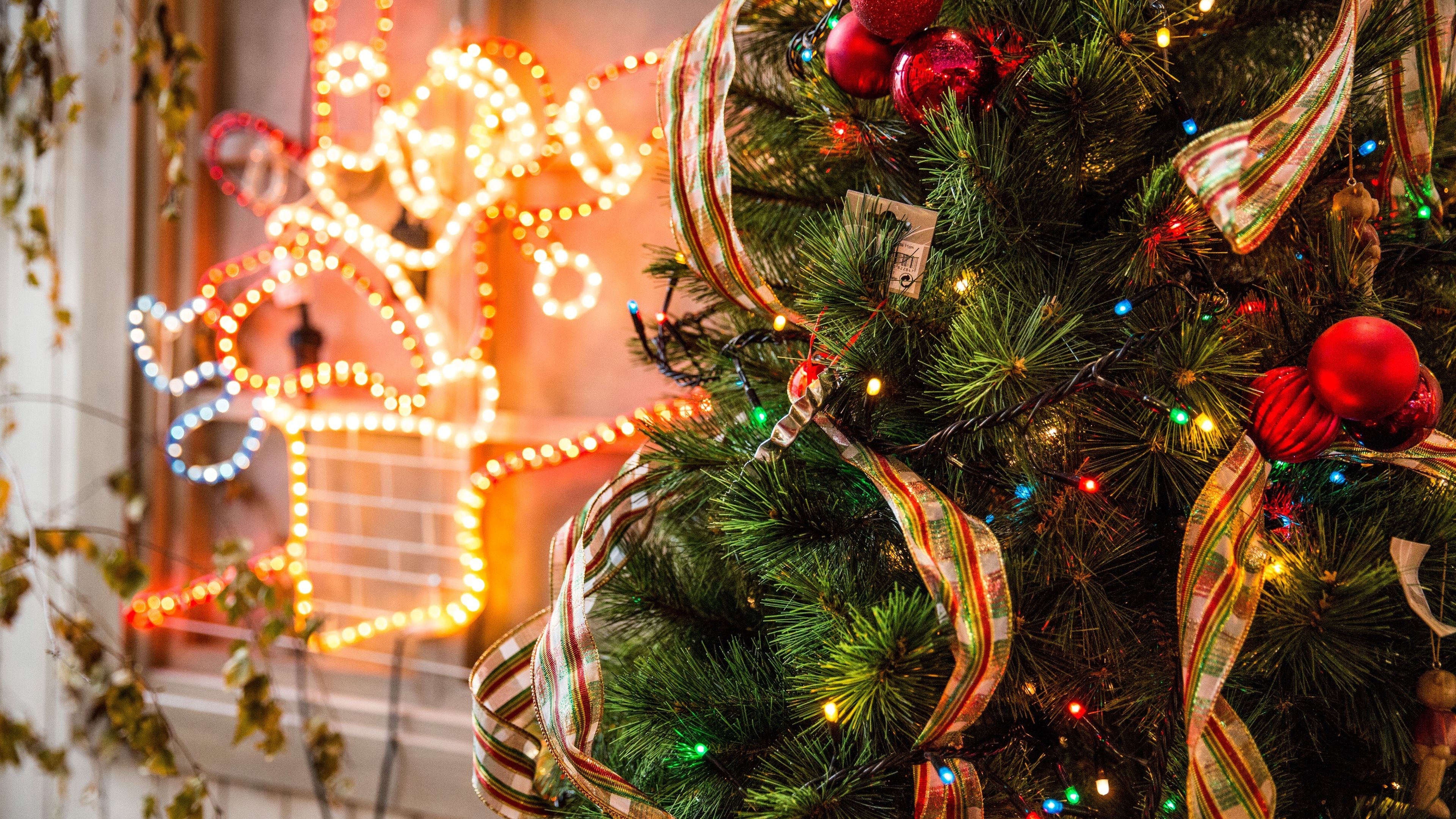 Árbol de Navidad adornado con luces