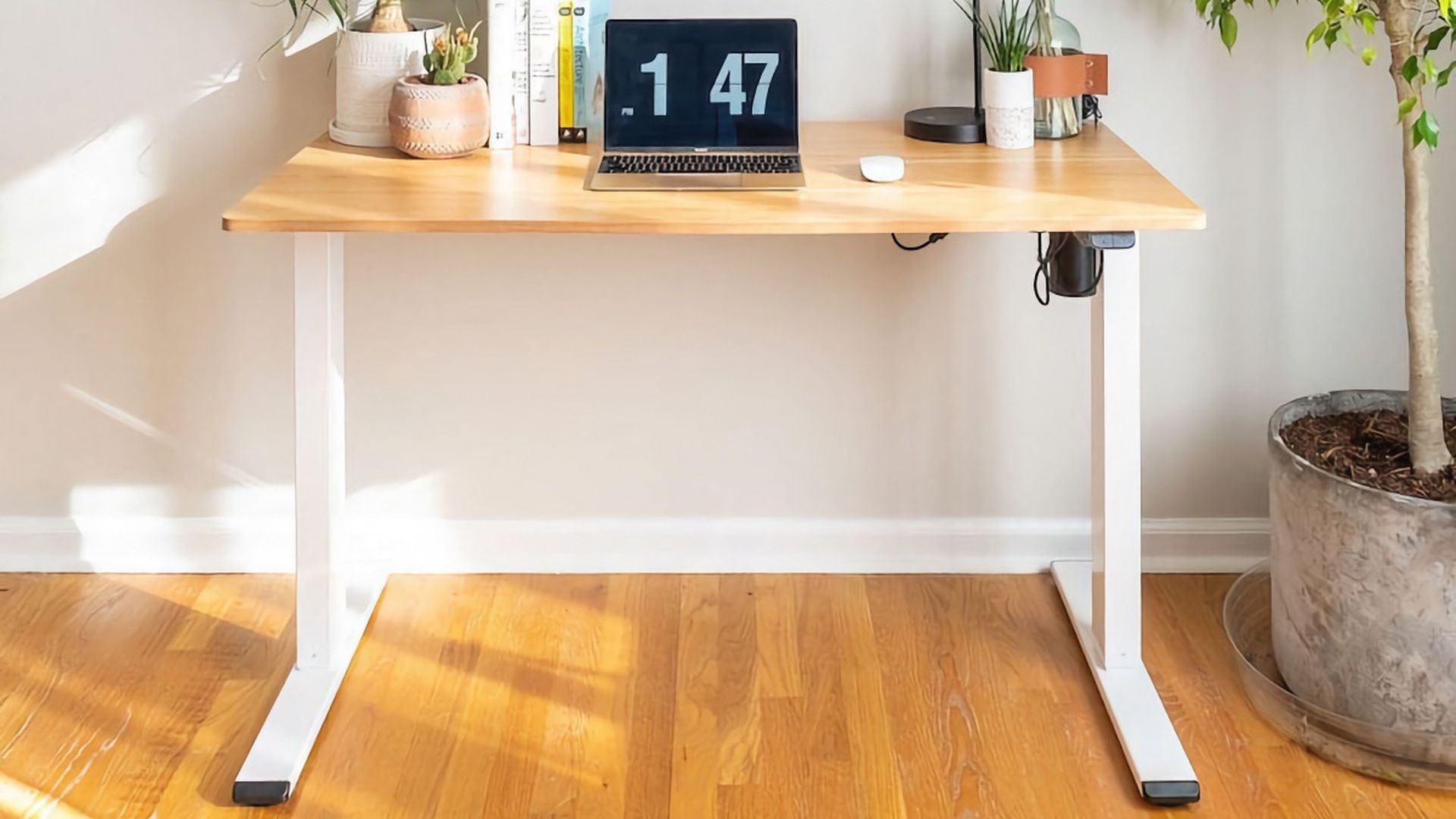 Best cheap elevating desks models that are worth it Gearrice