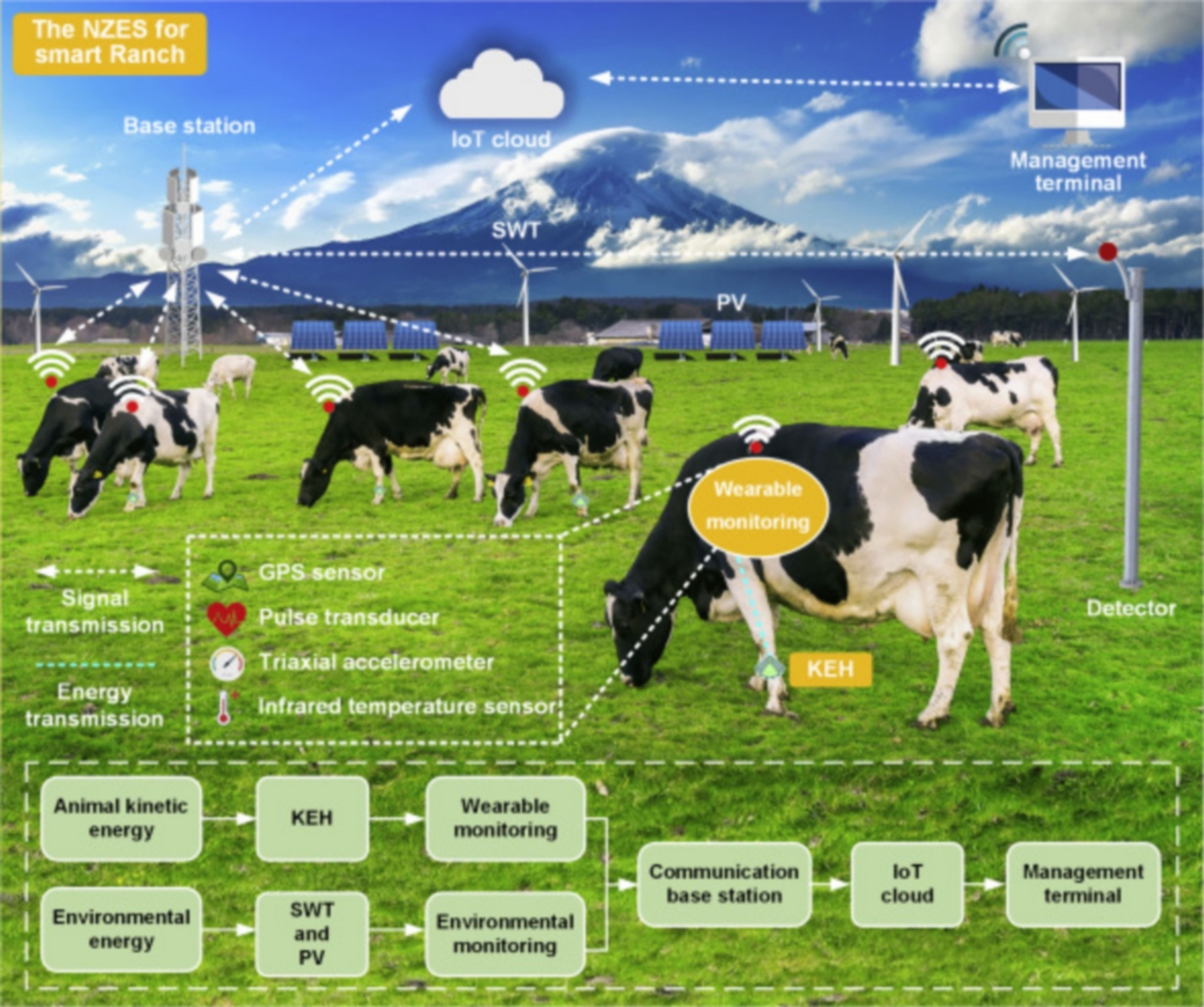 Vacas con smartwatch