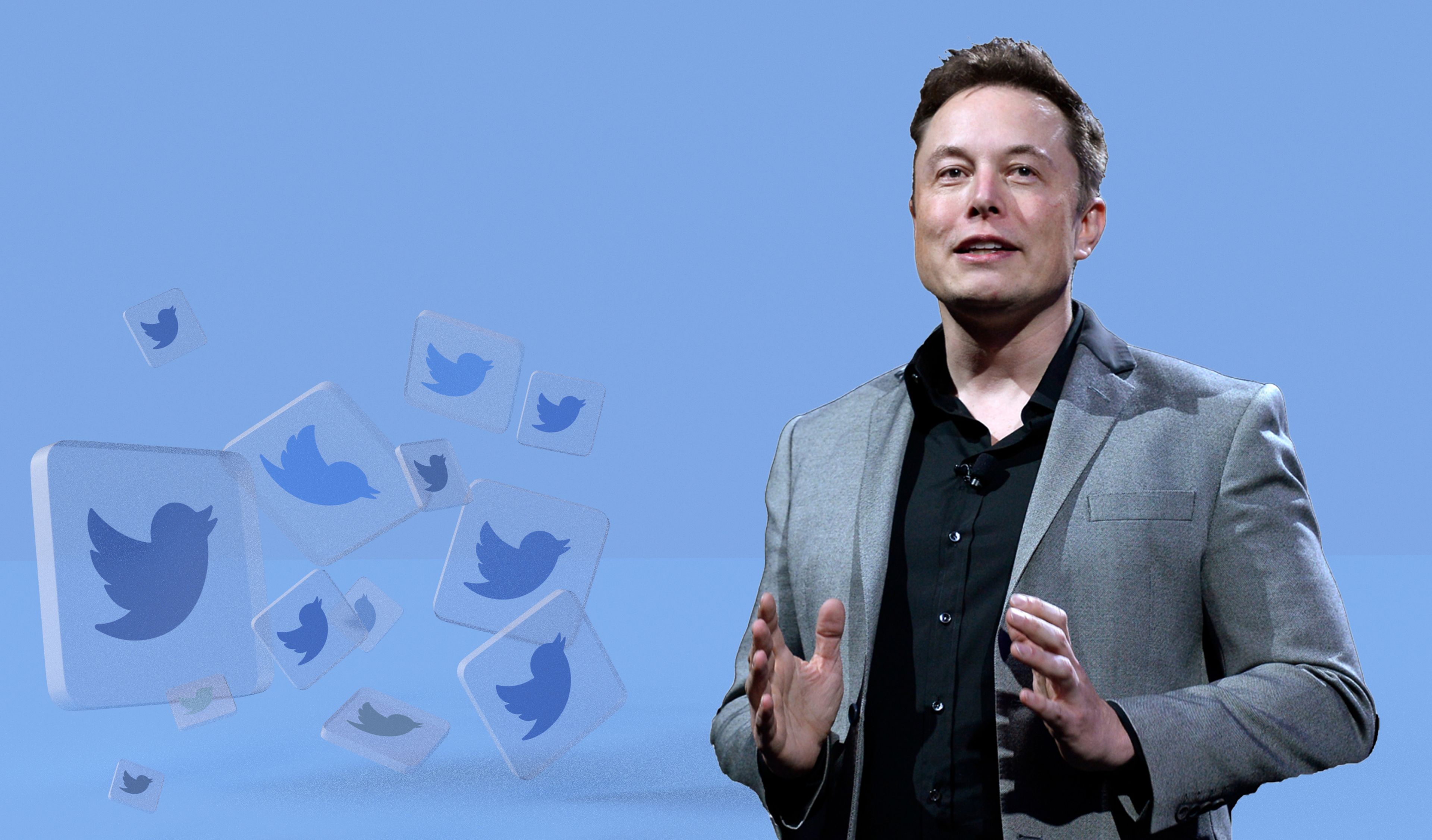Estas son algunas de las mejores opciones para ser el nuevo CEO de Twitter si Elon Musk quiere salvar la red social