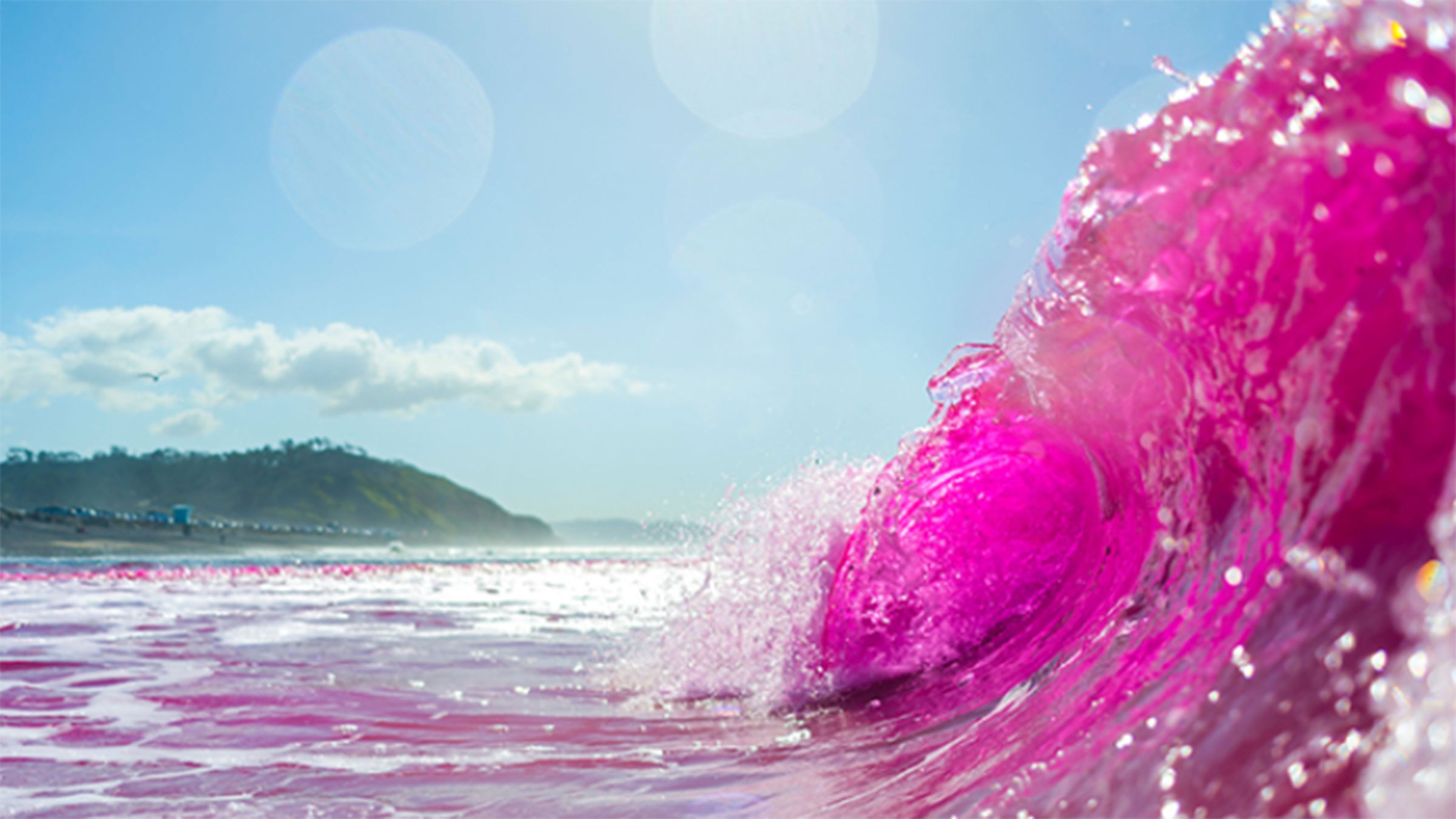La razón por la que los científicos están tiñendo el mar de color rosa