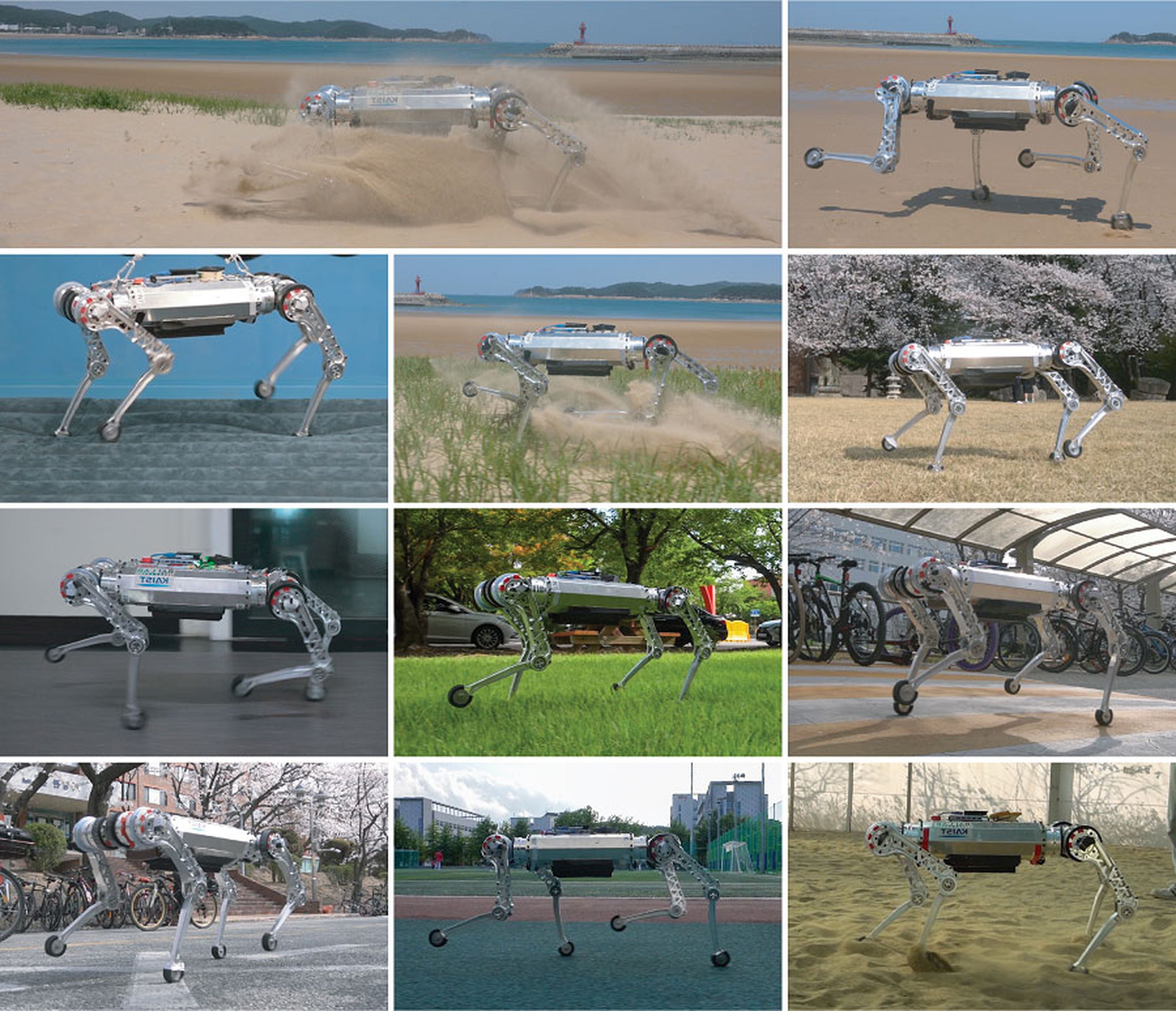 Ahora los robots son ya capaces de correr más rápido que tú por la arena de playa