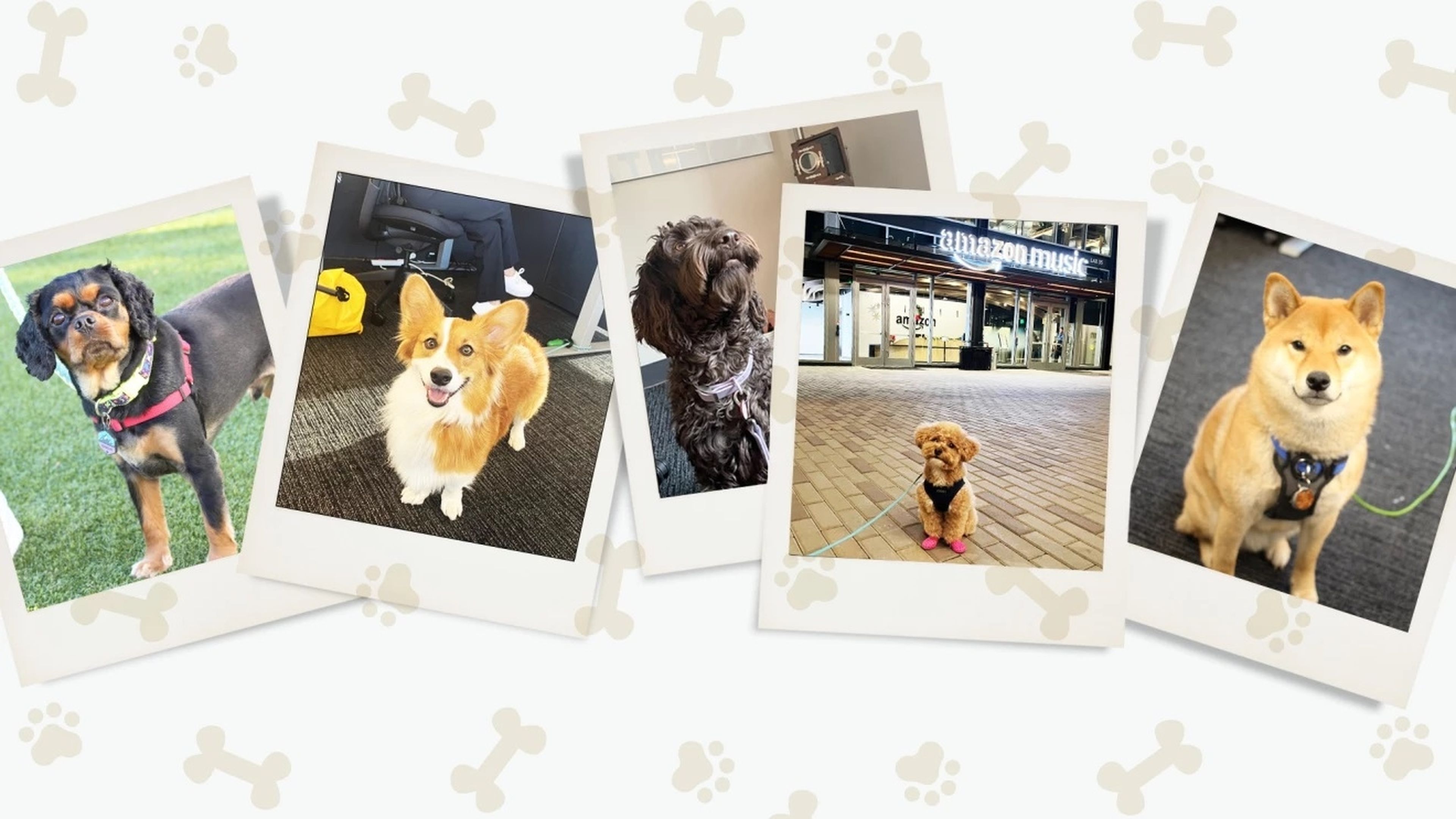 Amazon ha encontrado la forma de que sus empleados vuelvan a las oficinas contentos y felices: con 10.000 perros
