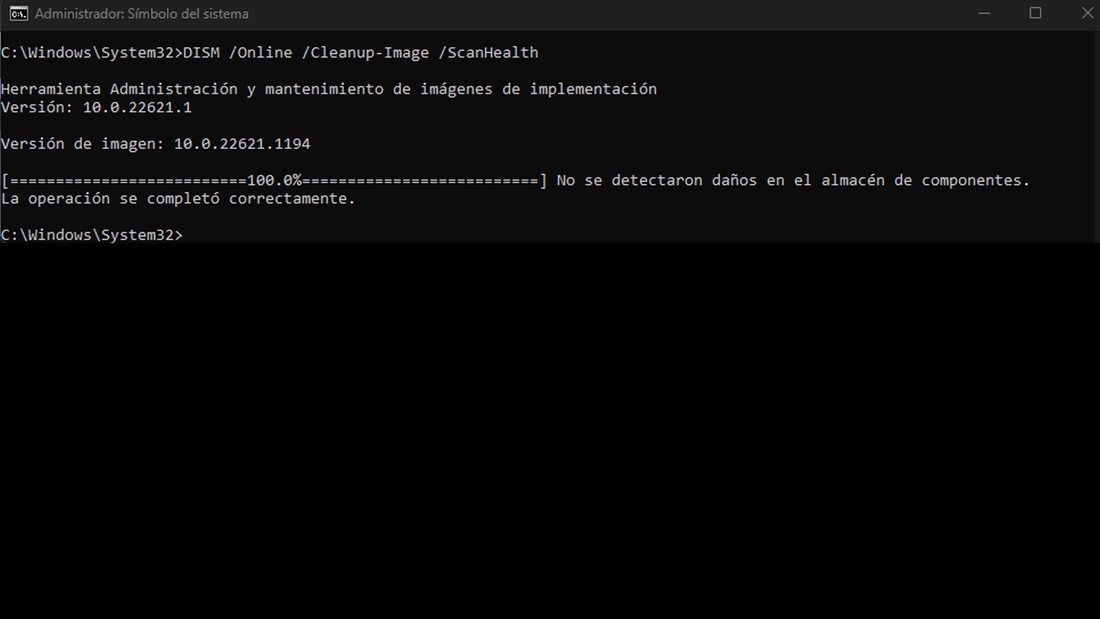 DISM and SFC tools