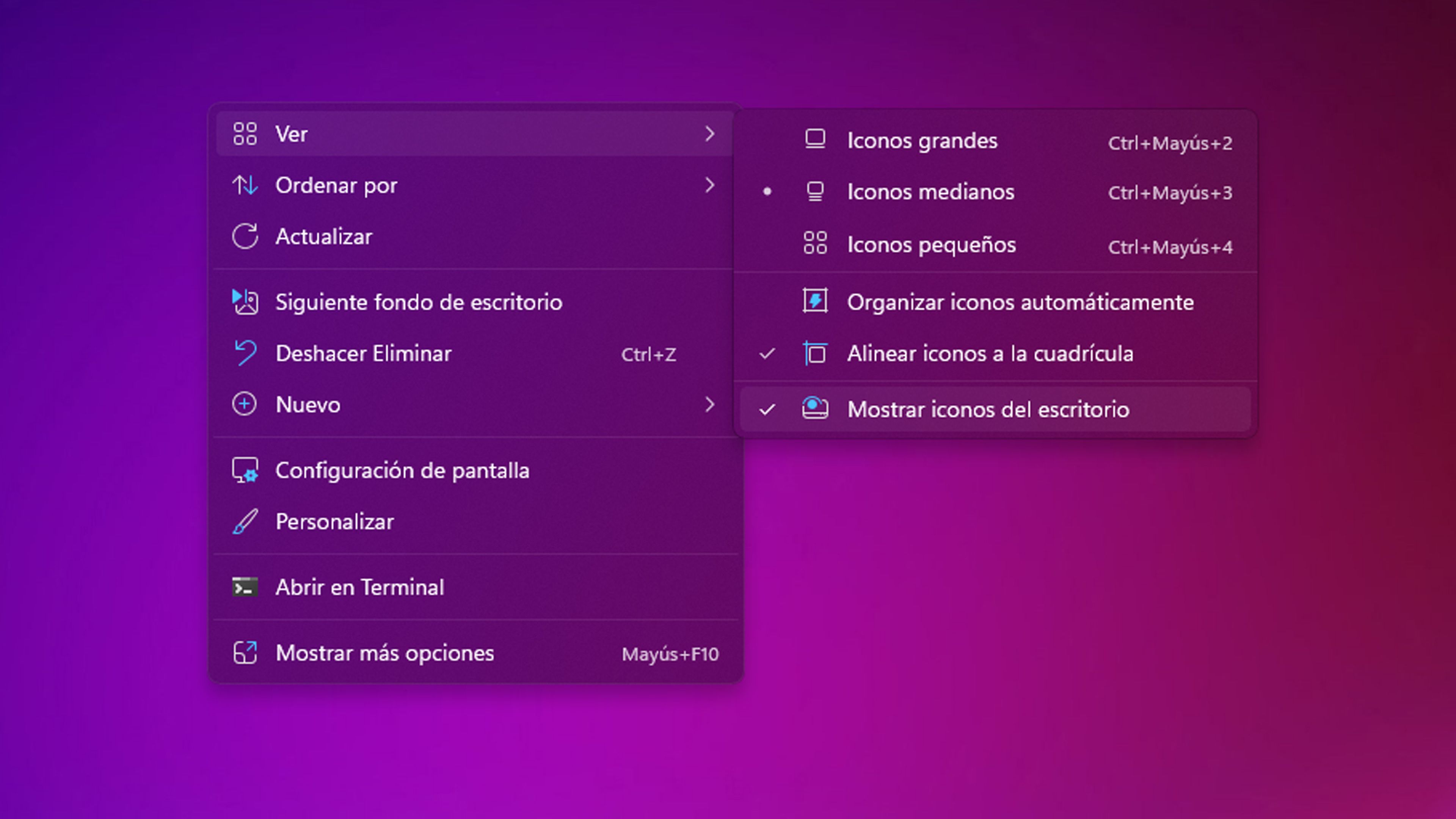 No icons on the desktop