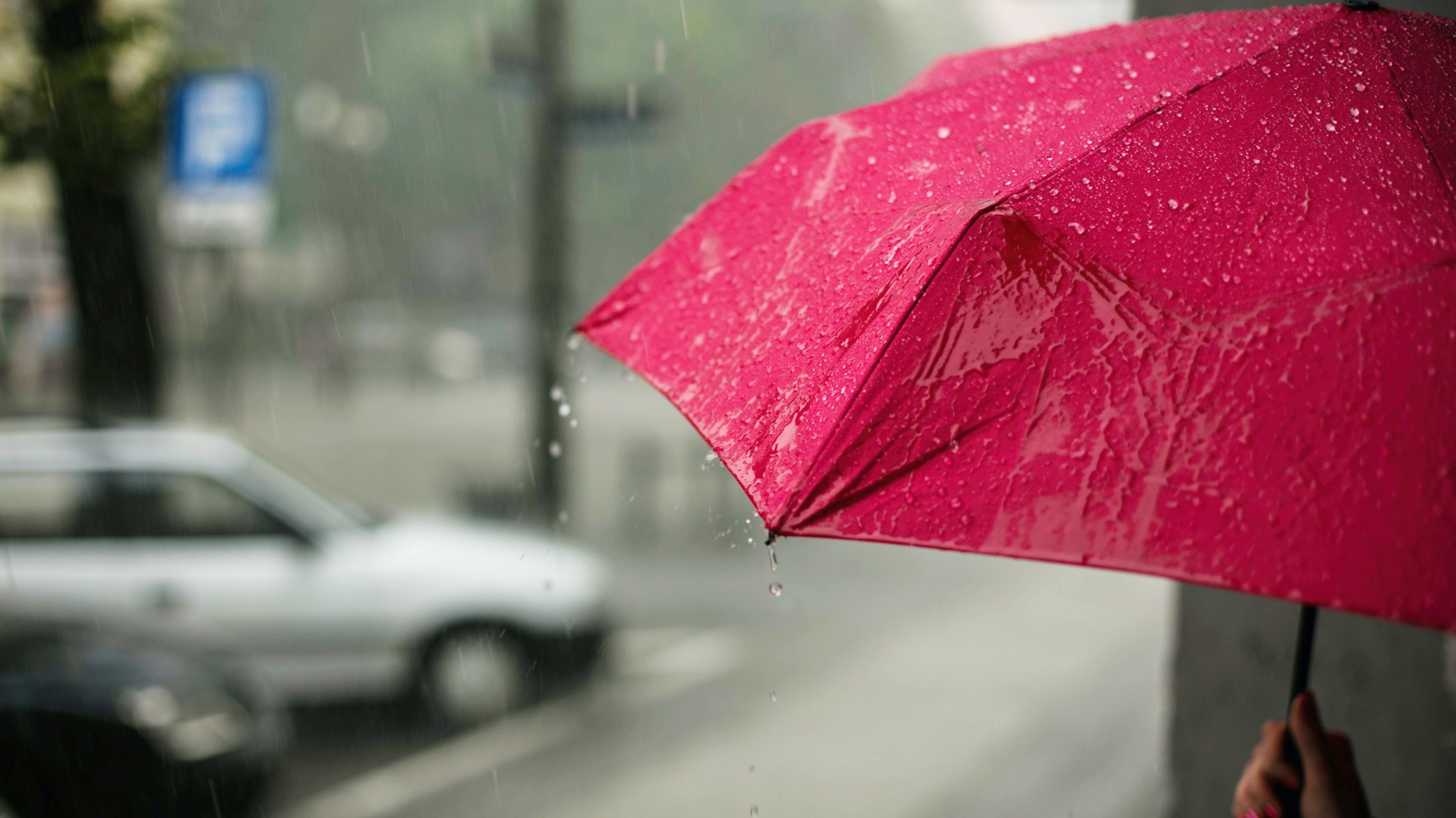 Paraguas rosa