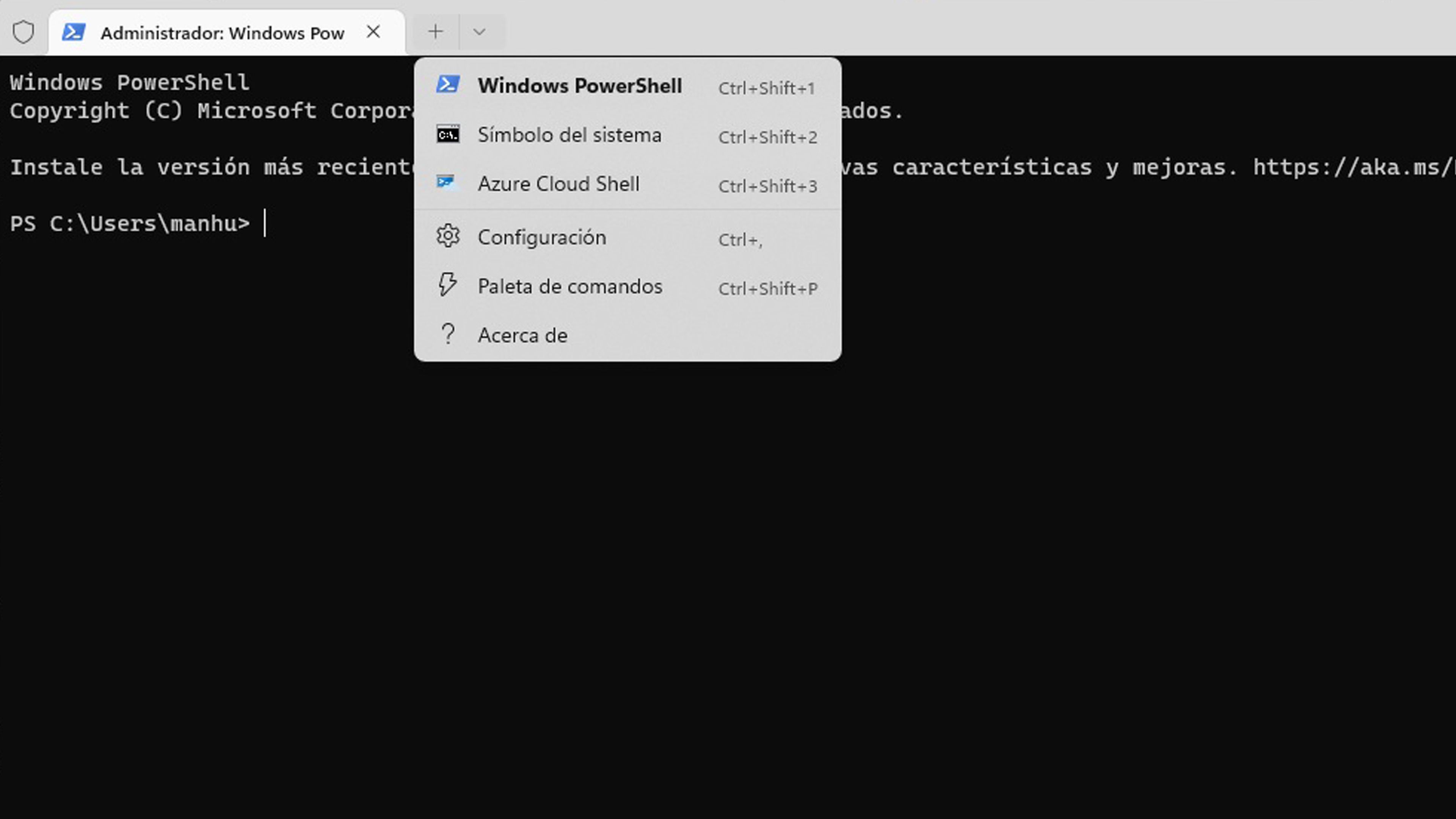 símbolo del sistema de terminal Windows 11