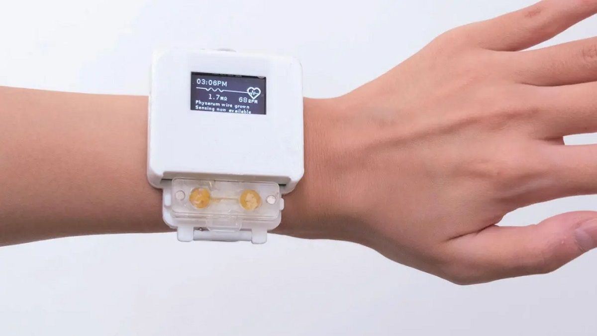 El smartwatch batería que funciona con vivos que tienes que regar y alimentar | Hoy