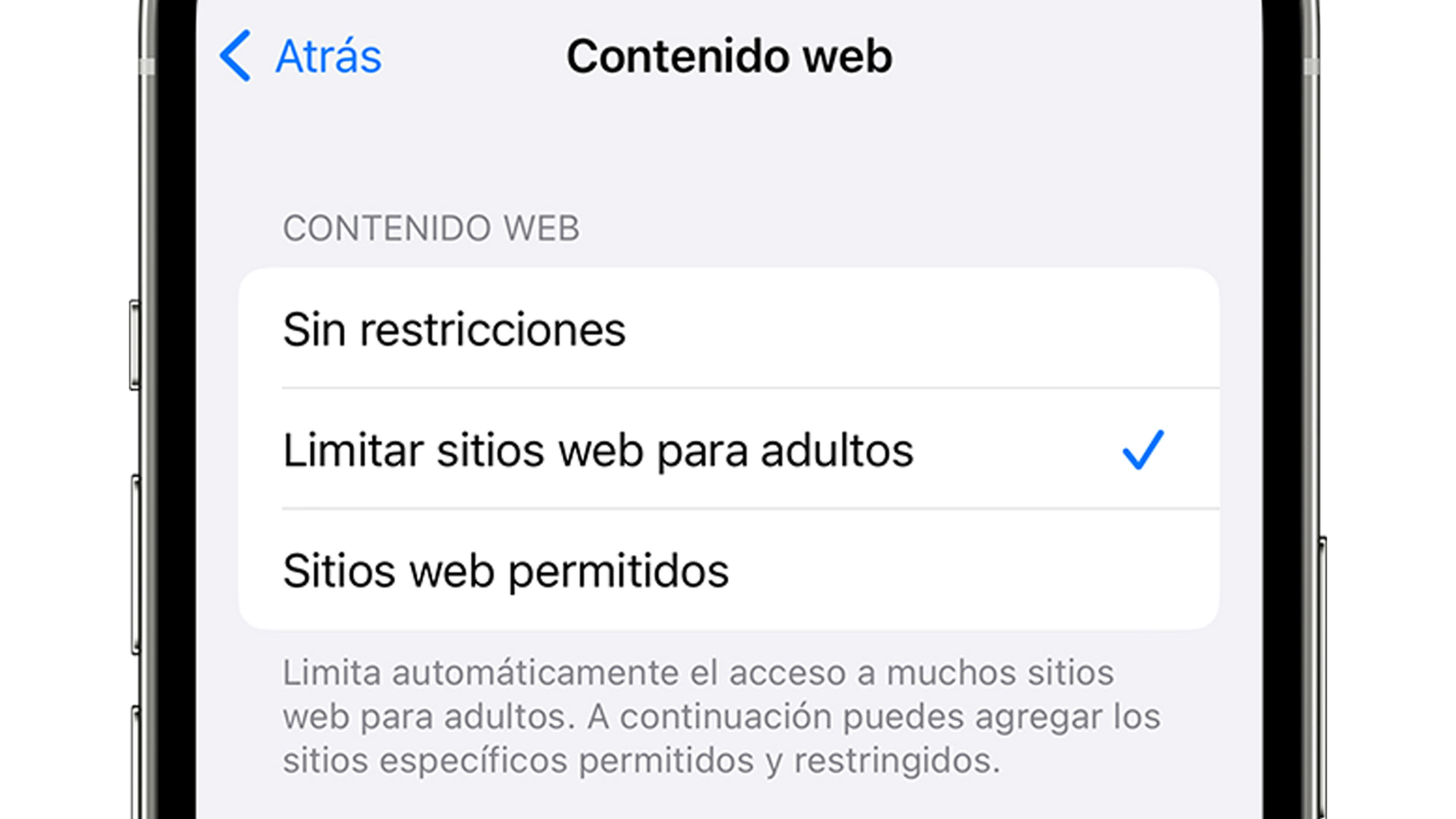 Webs para adultos iOS 16