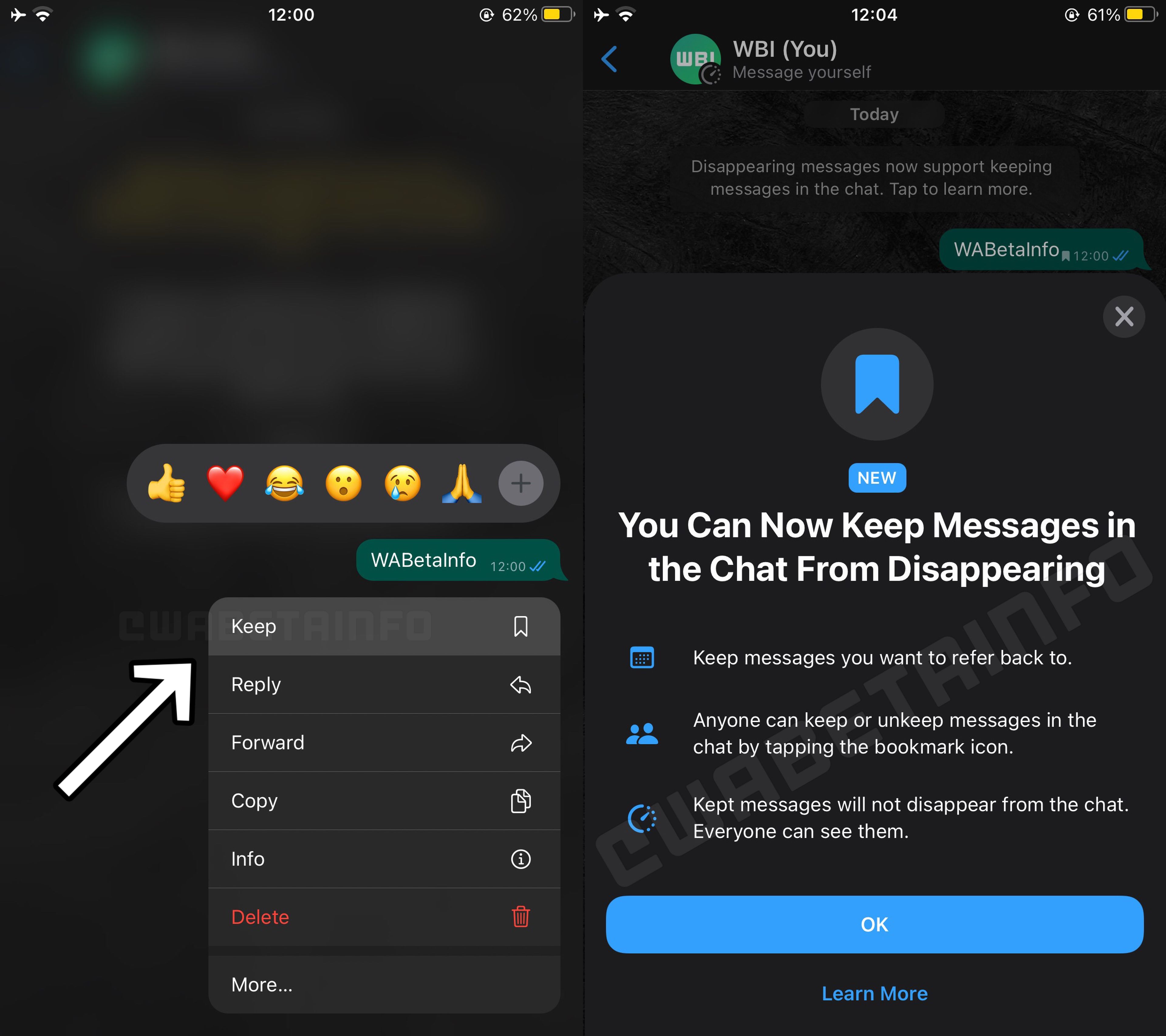 WhatsApp trabaja en una función para evitar que algunos mensajes desaparezcan, y así se usa
