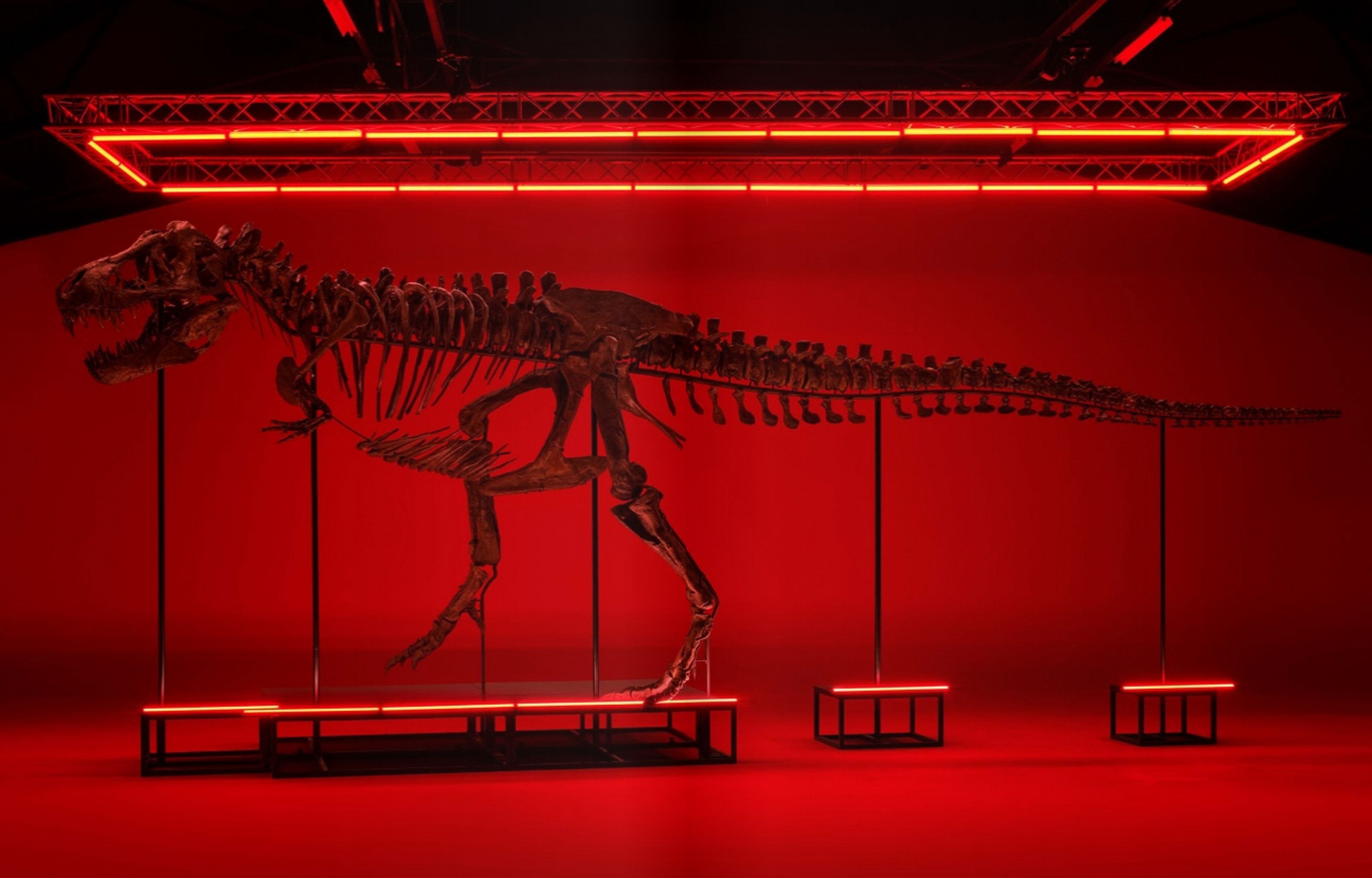 Ciencia al mejor postor: un Tiranosaurio Rex completo y un meteorito marciano, a subasta