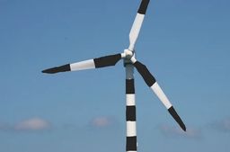 Scientists advise painting turbines with black stripes to avoid millions of bird deaths