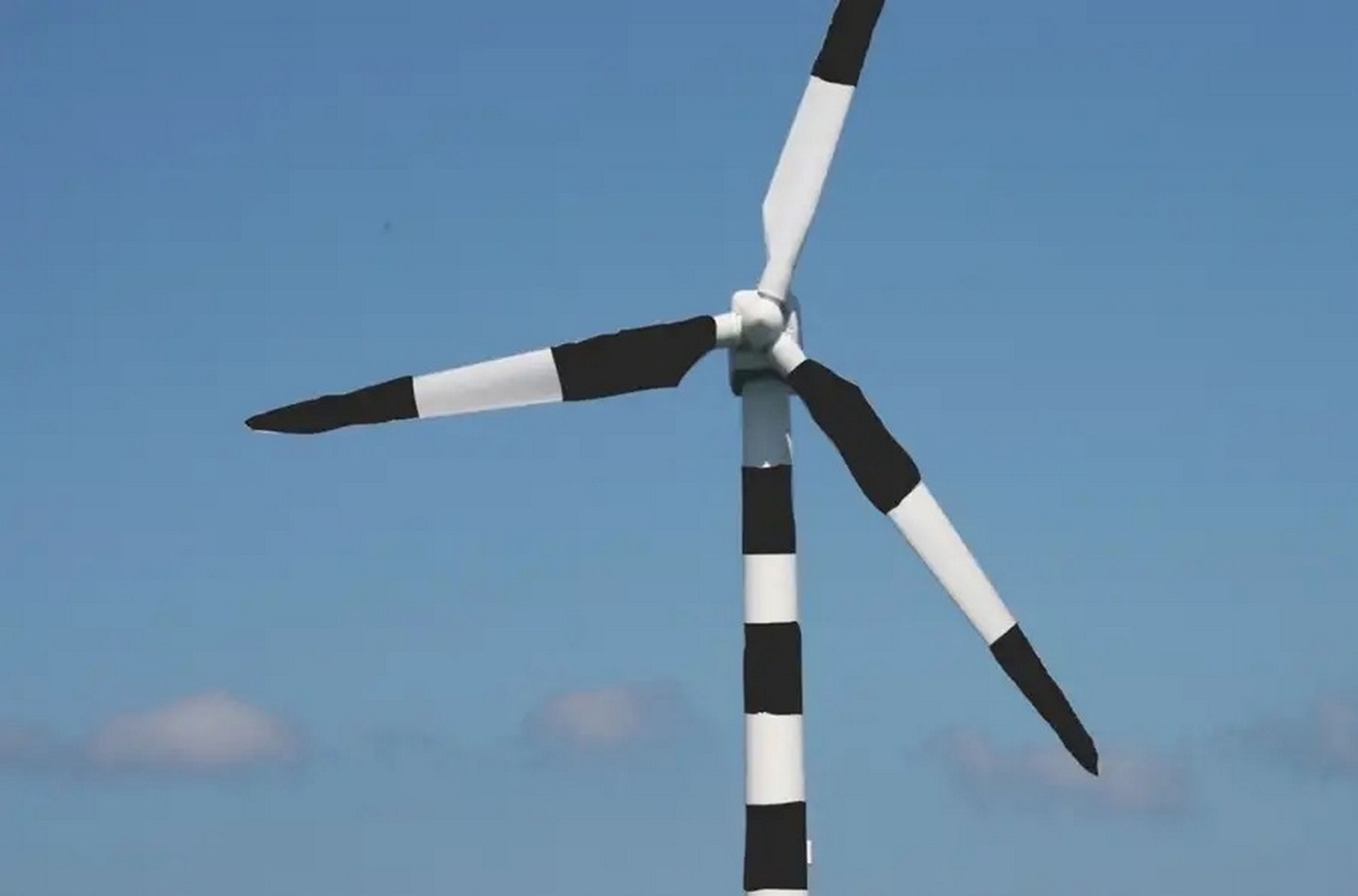 Científicos aconsejan pintar las turbinas con rayas negras para evitar millones de muertes de aves