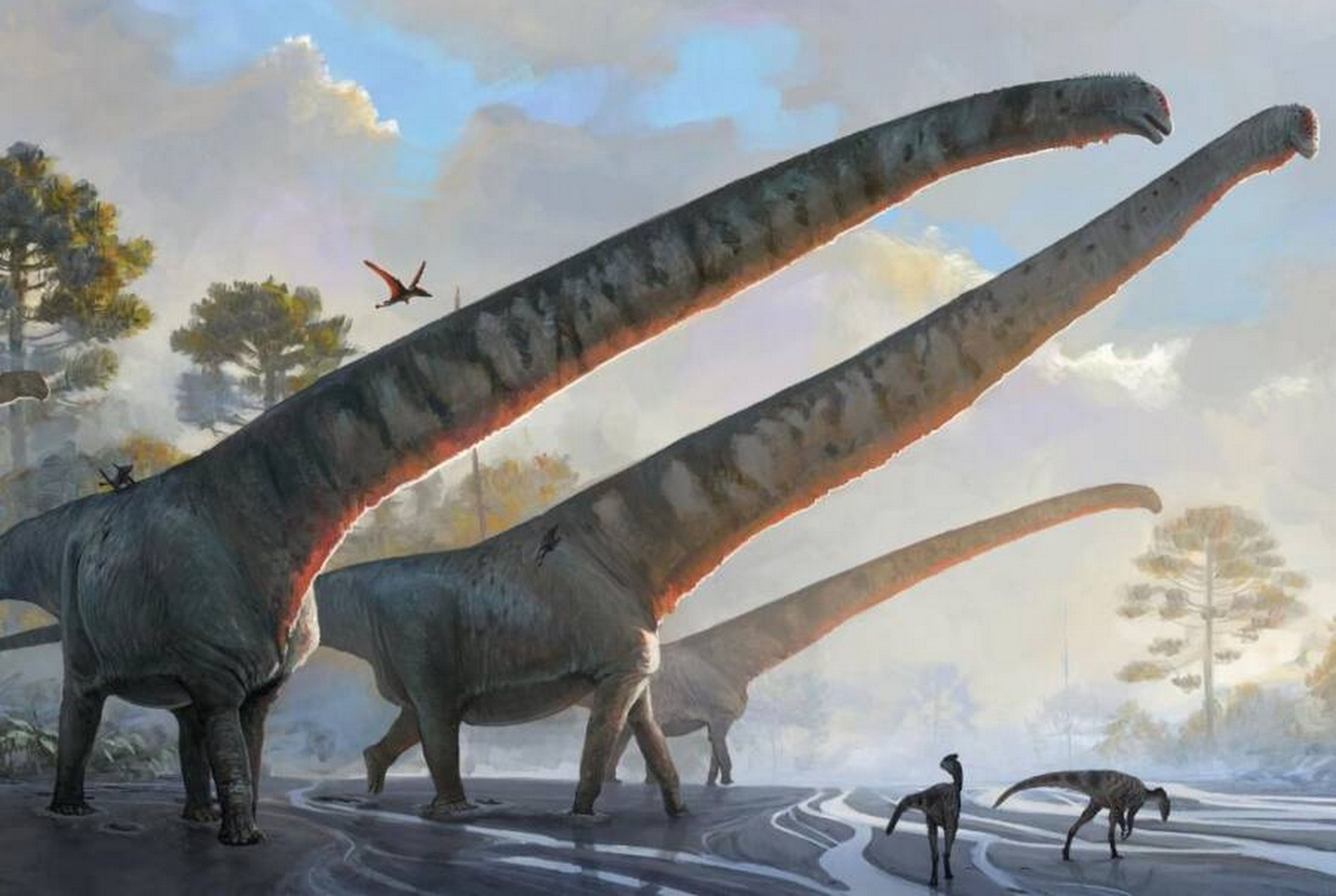 Descubren en China el dinosaurio con el cuello más largo de la historia