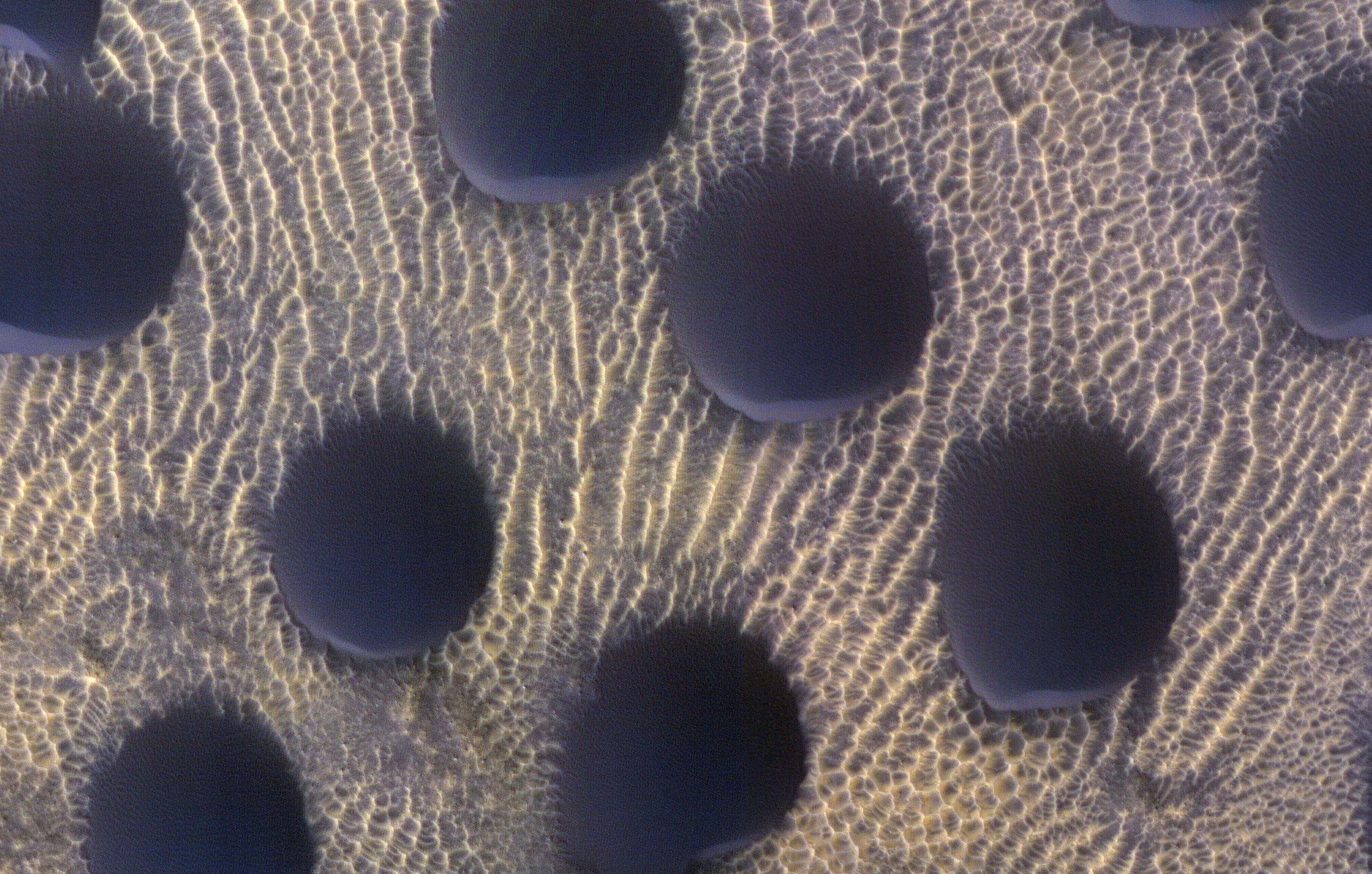 Round dunes on Mars