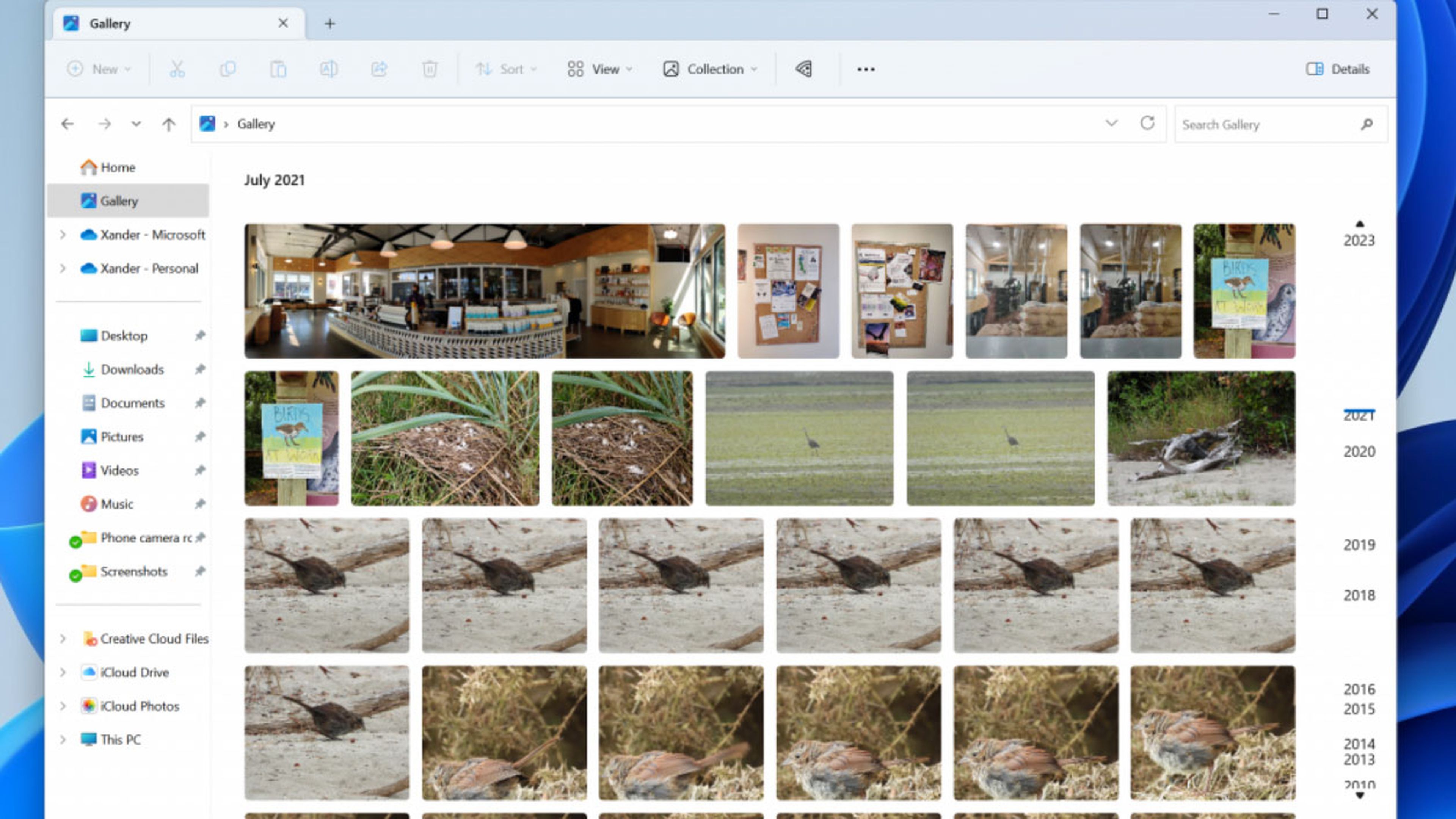 Microsoft quiere que sea más fácil la navegación y el intercambio de fotos en Windows 11