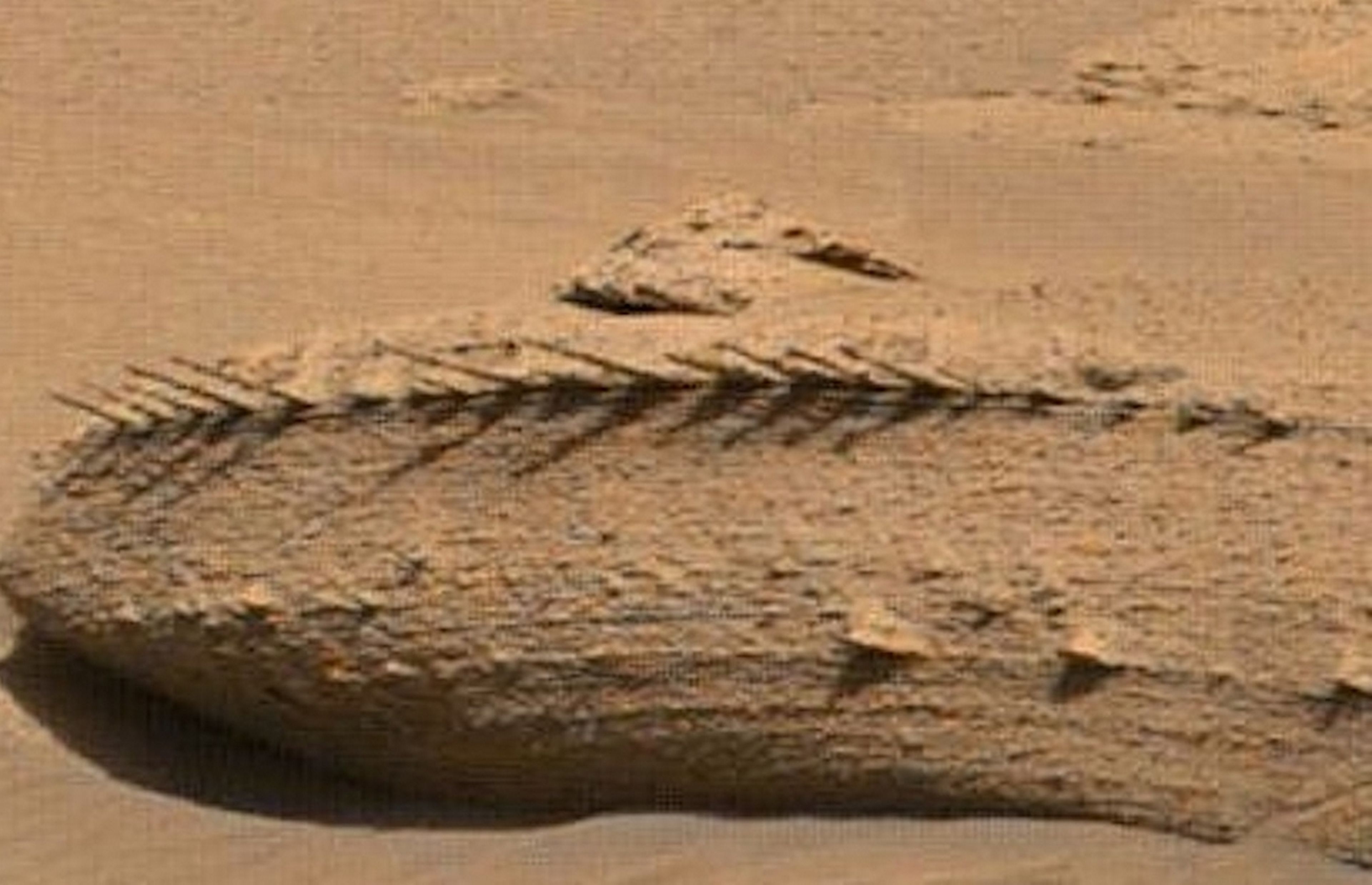 El rover Curiosity descubre un 'fósil' con espinas en Marte