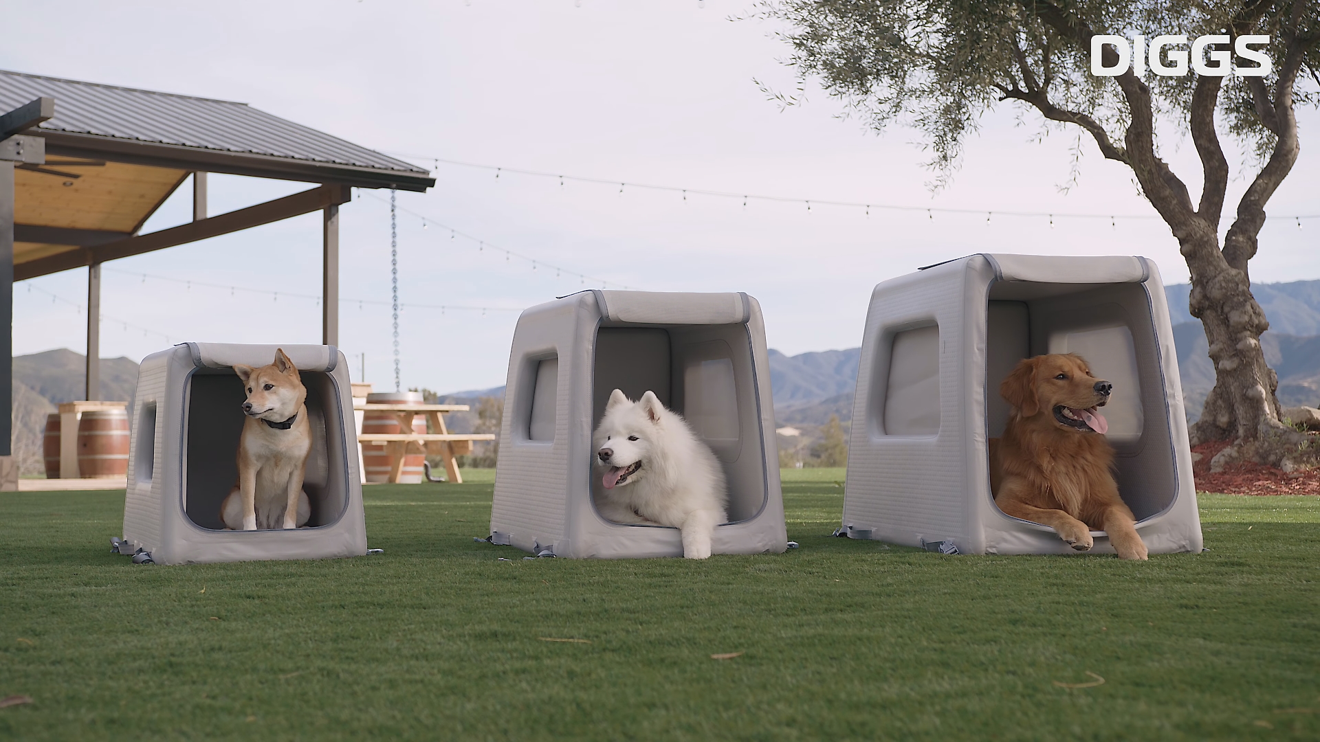 Enventur, the inflatable dog house with military resistance (video