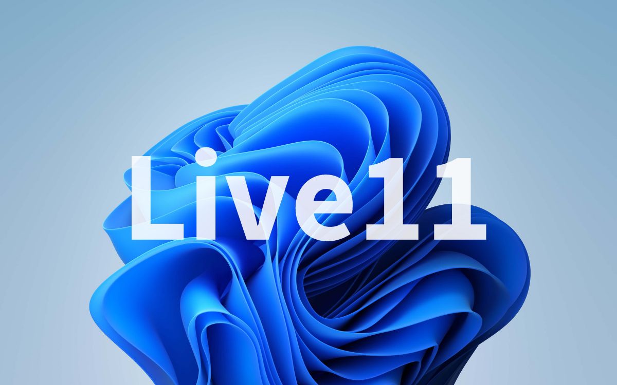 Download Live11 and Windows 11 for free to a flash drive or microSD card without installation