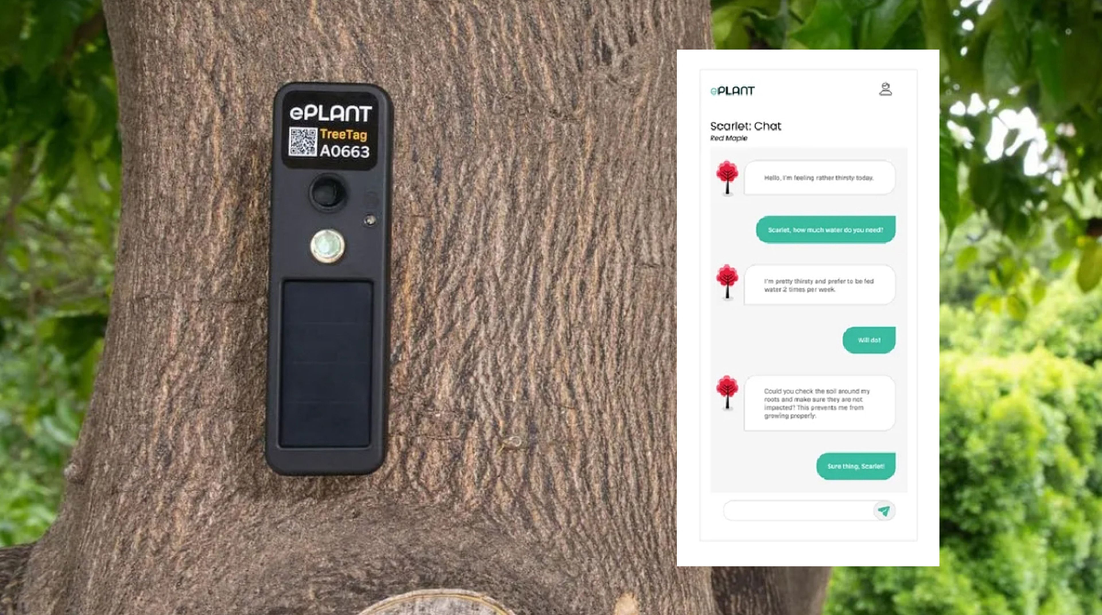 Esta aplicación integra ChatGPT para que puedas hablar con los árboles