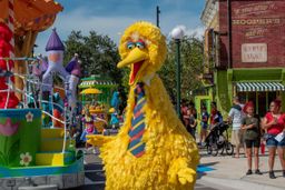 Big Bird from Sesame Street