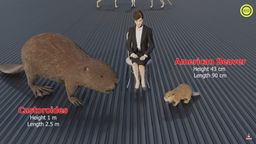 Esta comparativa de tamaño entre animales actuales y sus ancestros extintos, te va a sorprender